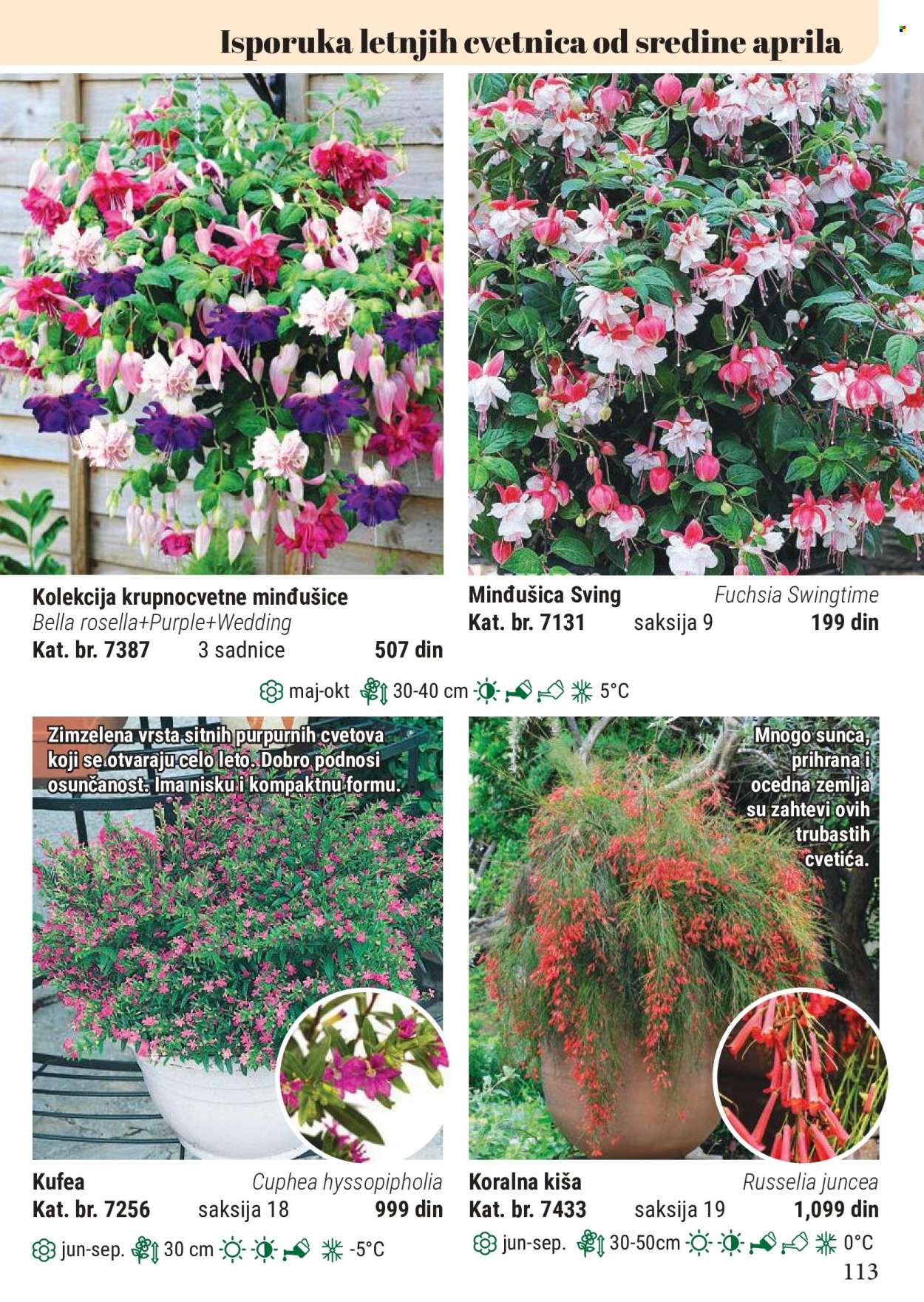 Flora Ekspres katalog. Stranica 113