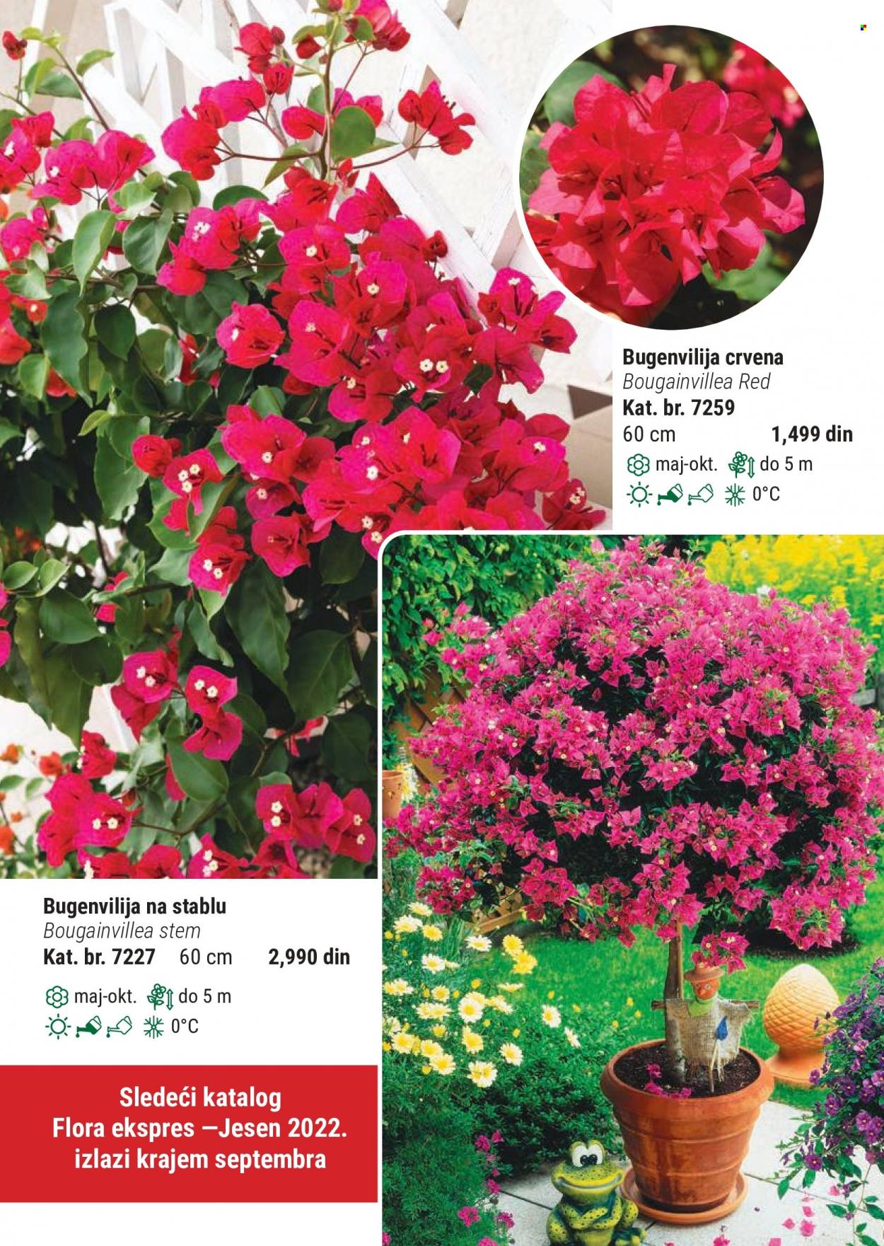 Flora Ekspres katalog. Stranica 116
