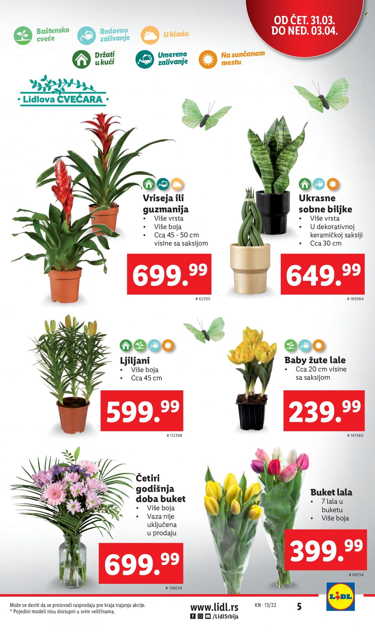 Lidl katalog - 31.03.2022 - 06.04.2022. Stranica 5