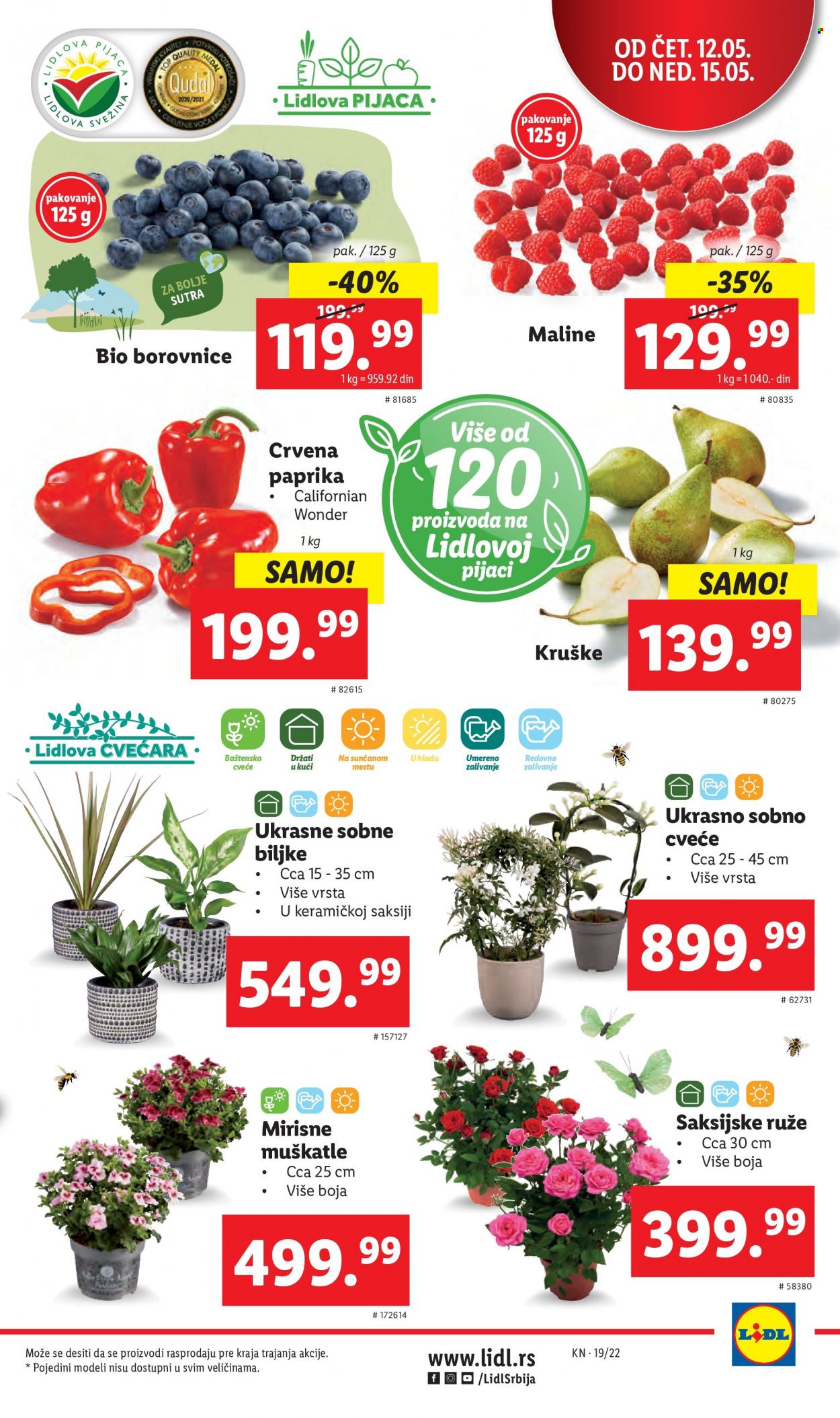 Lidl katalog - 12.05.2022 - 18.05.2022. Stranica 5