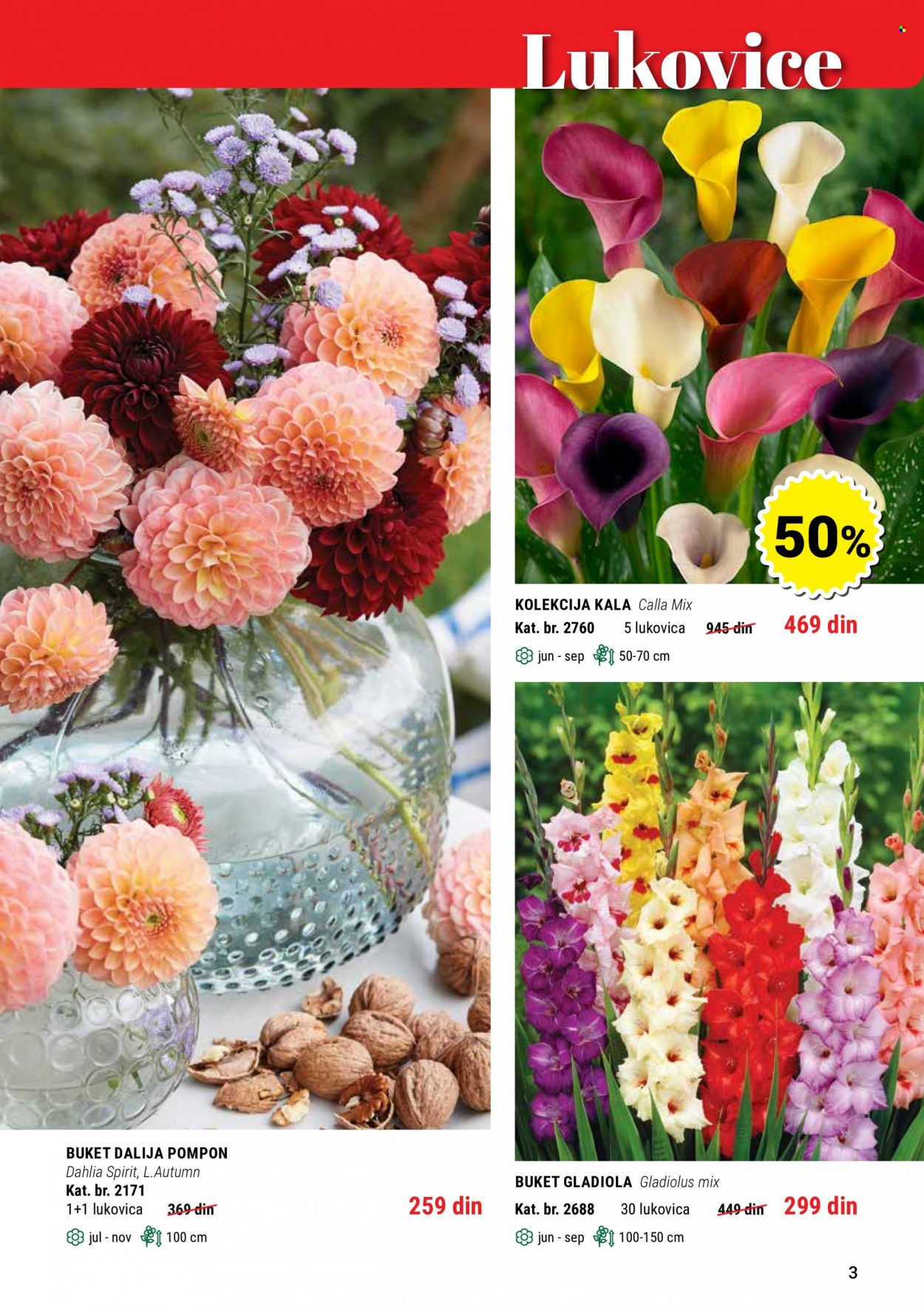 Flora Ekspres katalog. Stranica 3