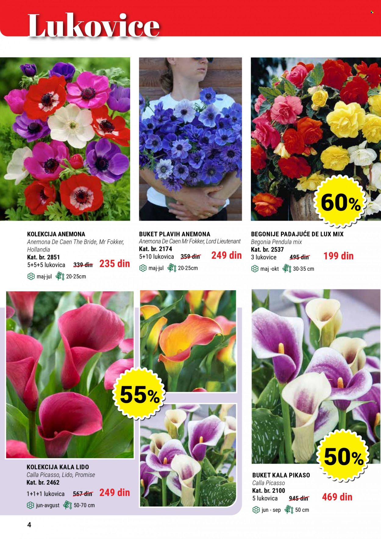 Flora Ekspres katalog. Stranica 4