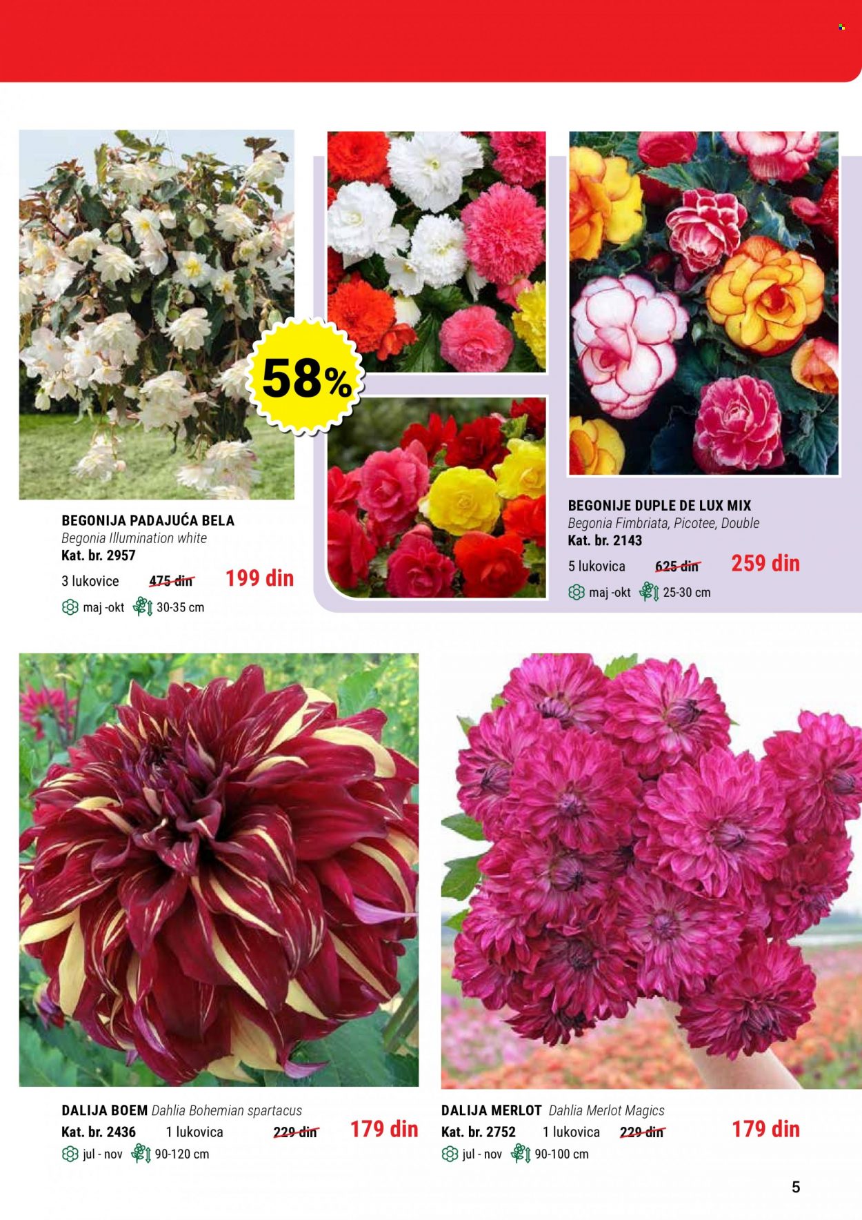 Flora Ekspres katalog. Stranica 5