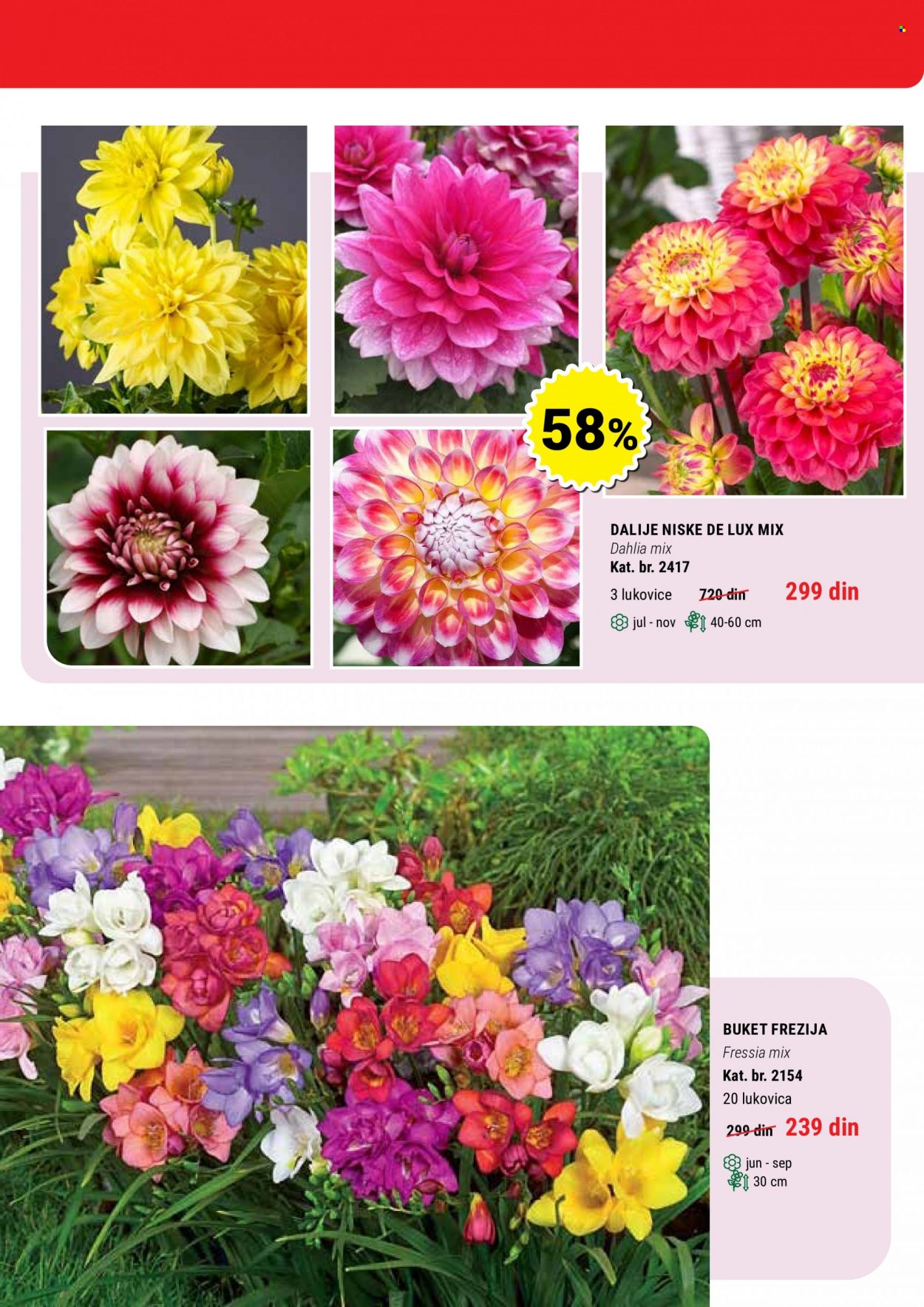 Flora Ekspres katalog. Stranica 7