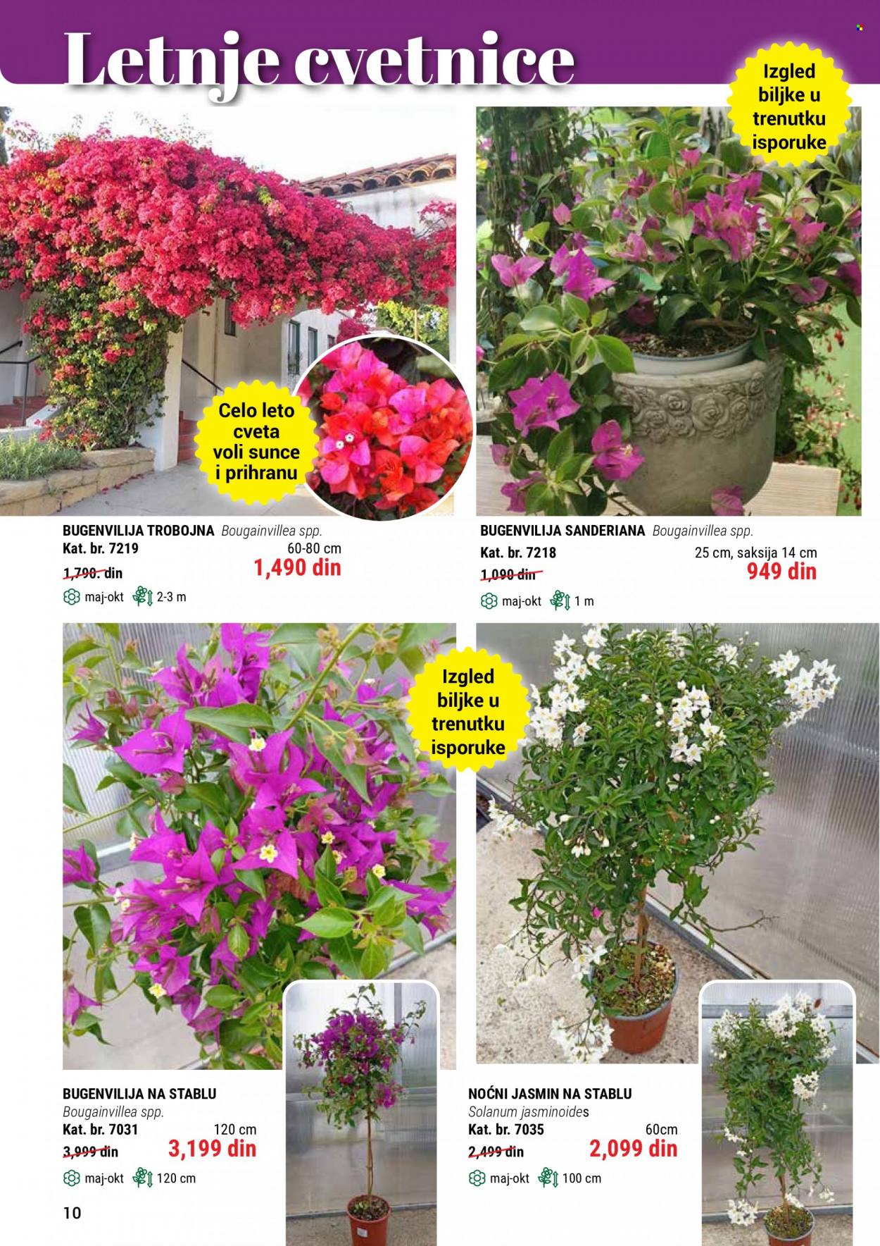 Flora Ekspres katalog. Stranica 10