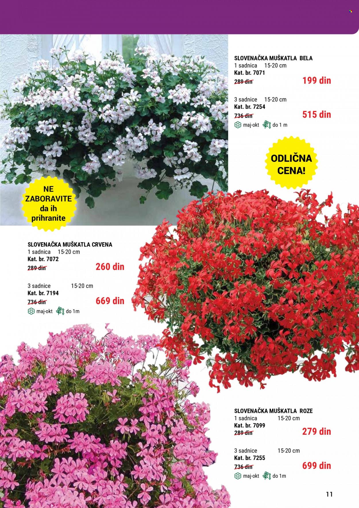 Flora Ekspres katalog. Stranica 11