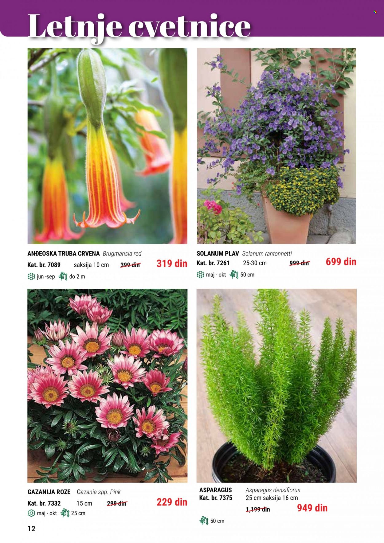 Flora Ekspres katalog. Stranica 12