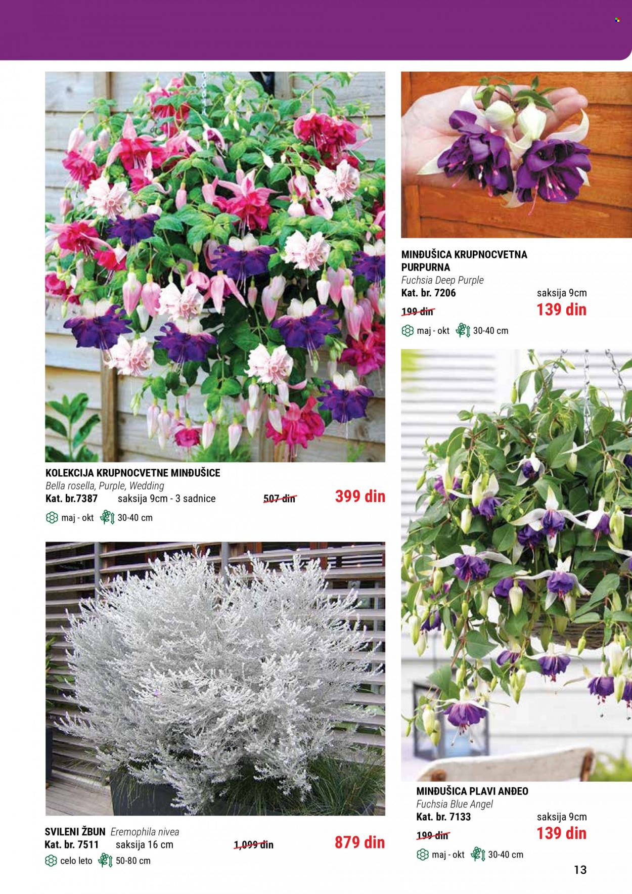 Flora Ekspres katalog. Stranica 13