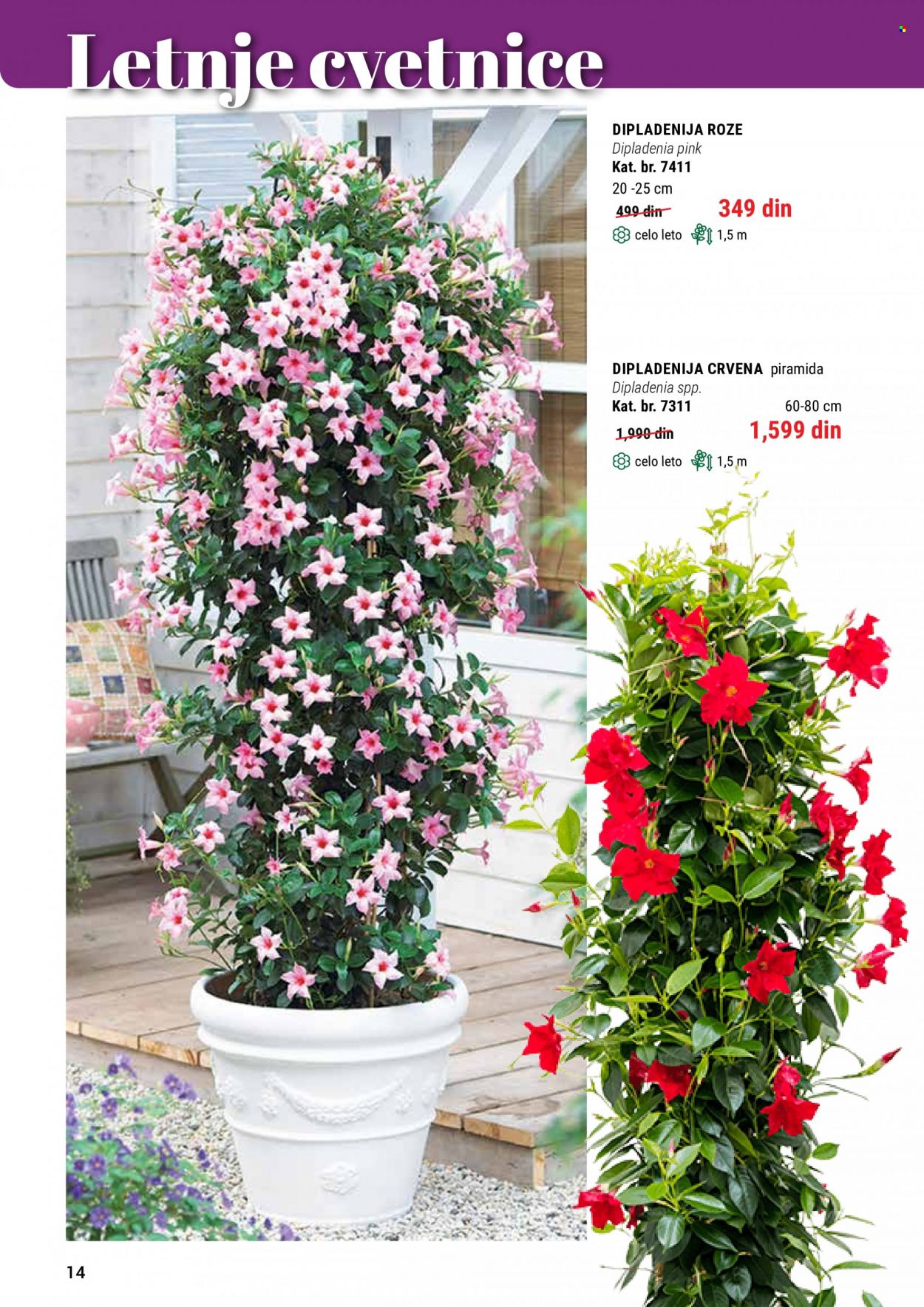 Flora Ekspres katalog. Stranica 14