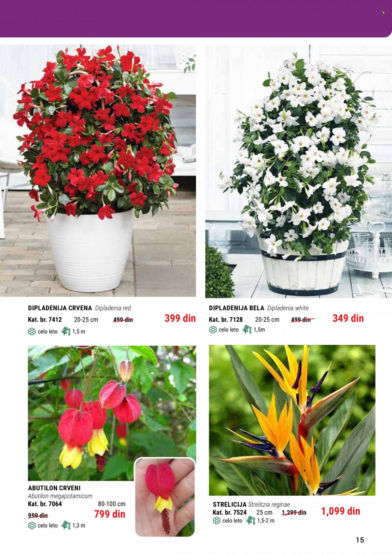 Flora Ekspres katalog. Stranica 15