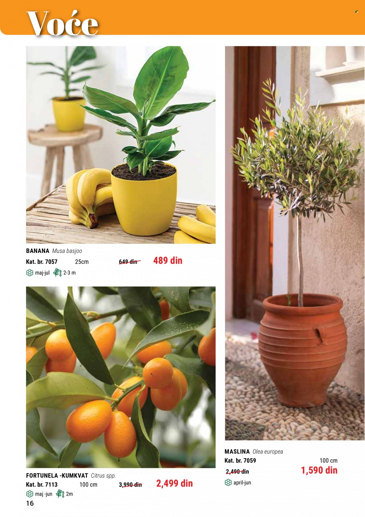Flora Ekspres katalog. Stranica 16