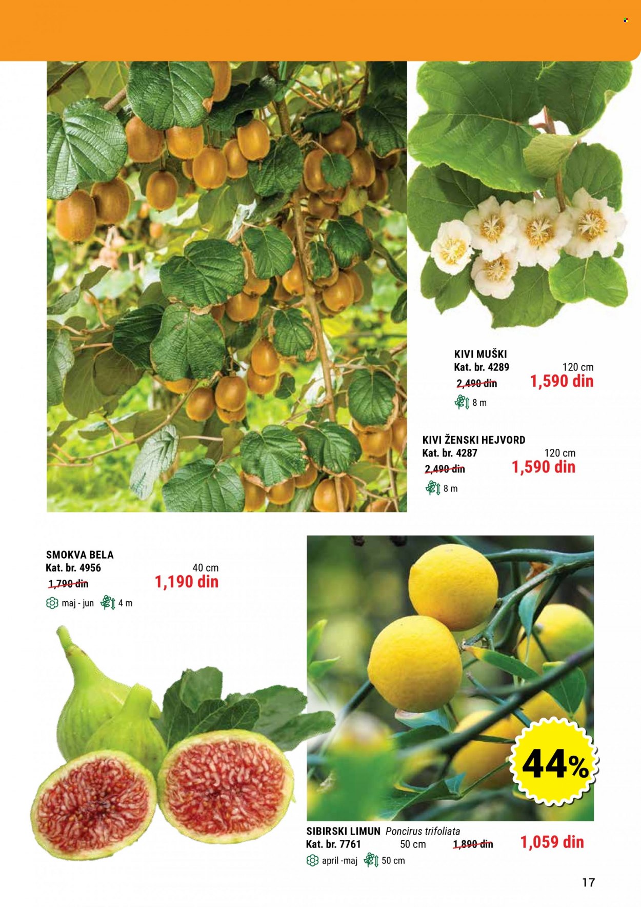 Flora Ekspres katalog. Stranica 17