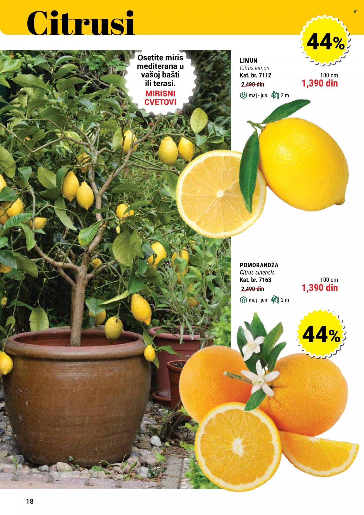 Flora Ekspres katalog. Stranica 18
