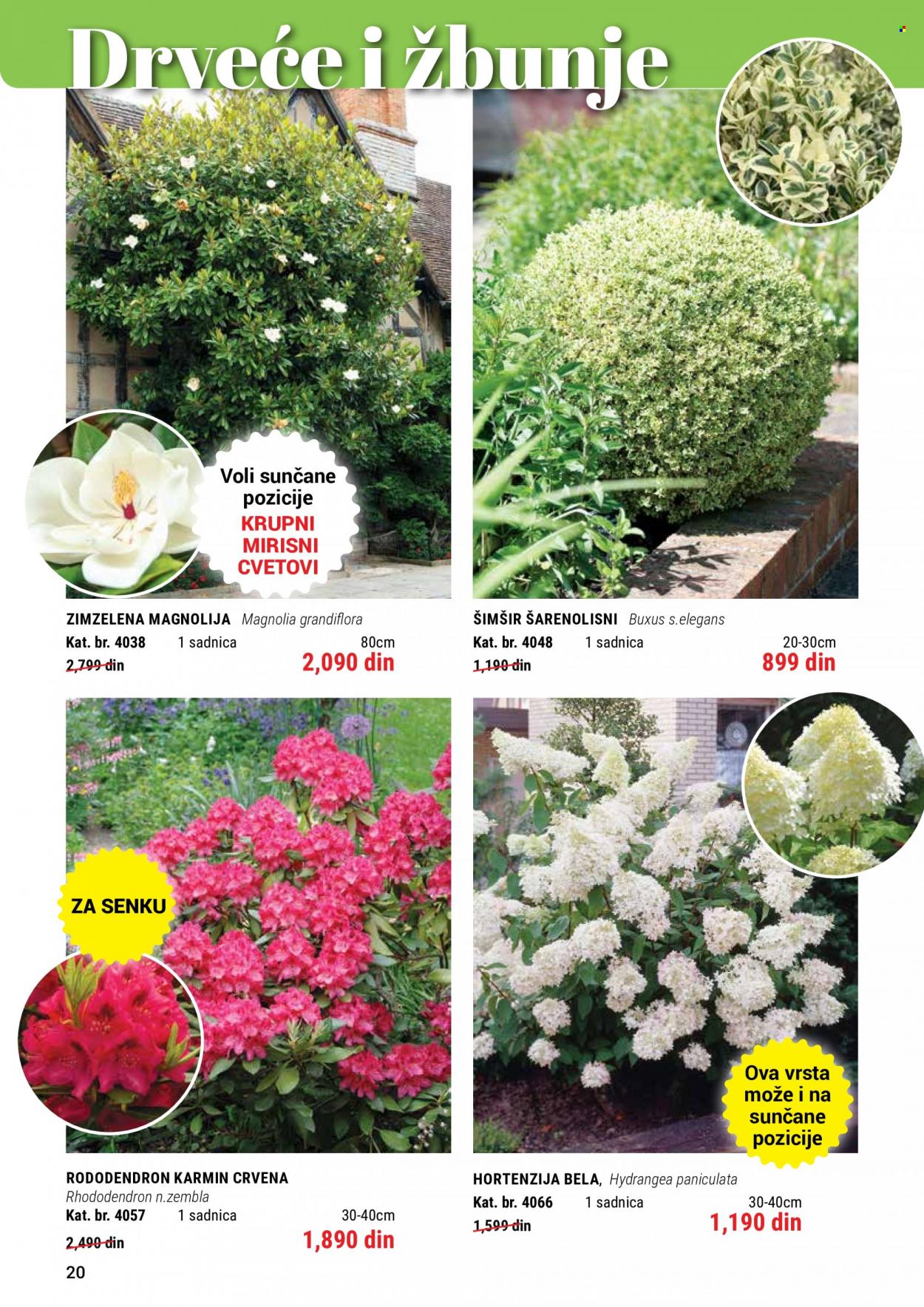 Flora Ekspres katalog. Stranica 20
