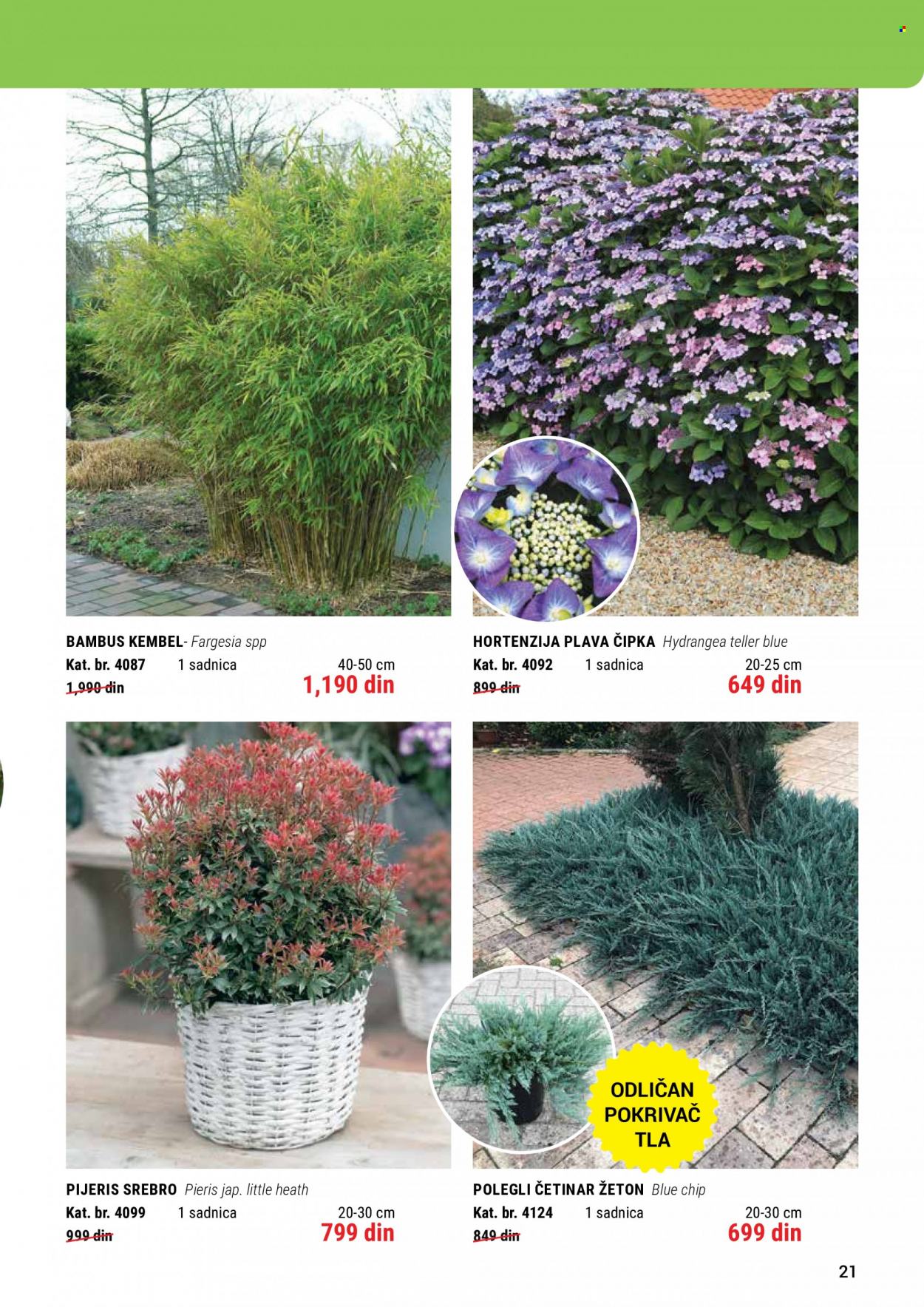 Flora Ekspres katalog. Stranica 21