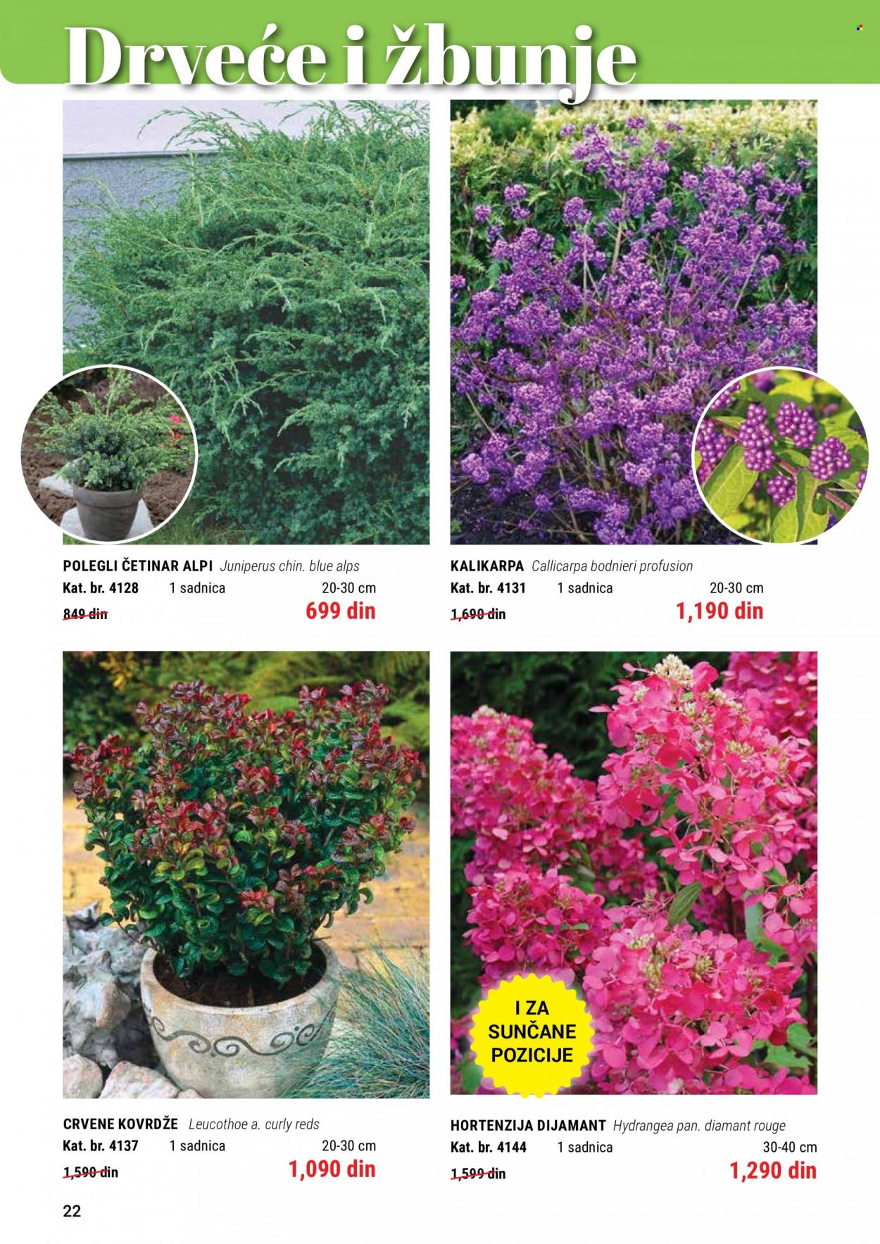 Flora Ekspres katalog. Stranica 22