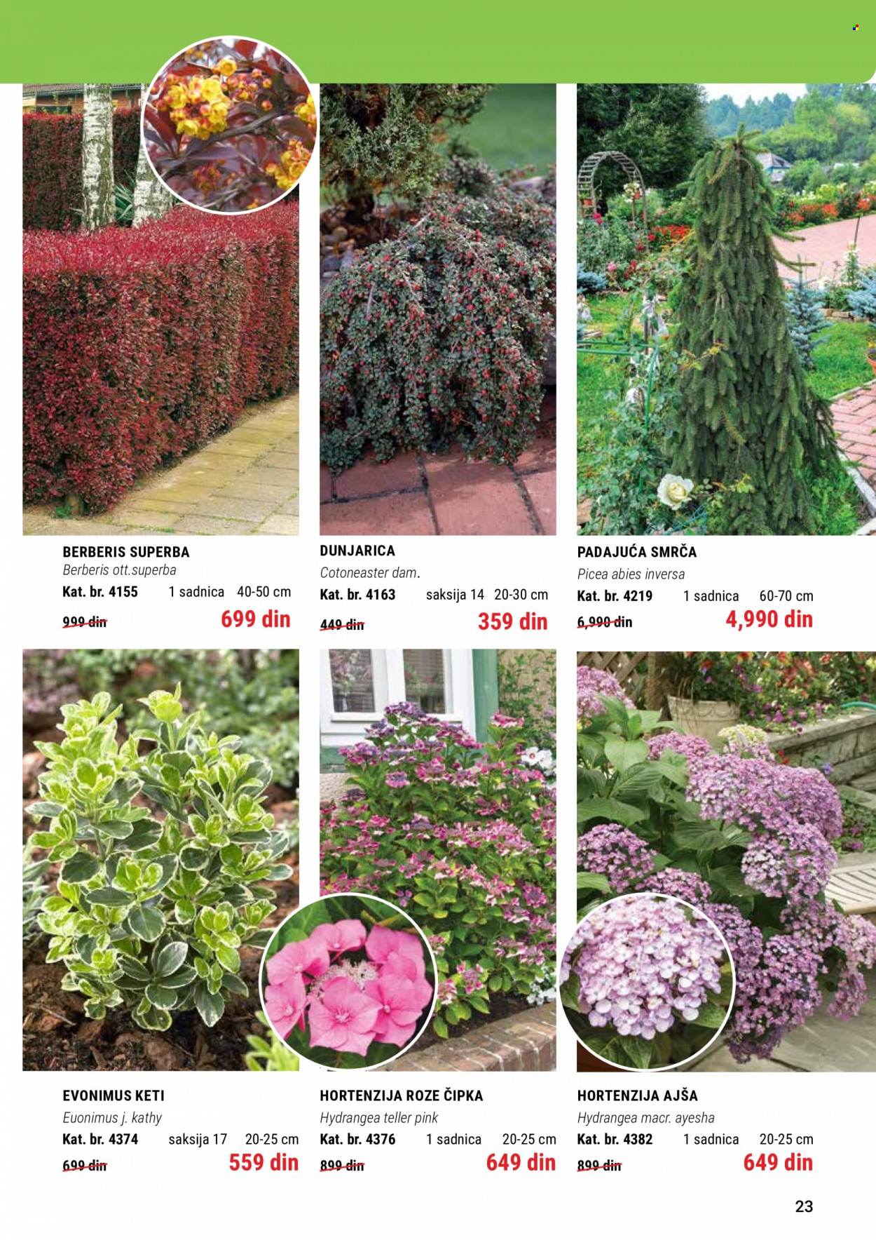 Flora Ekspres katalog. Stranica 23