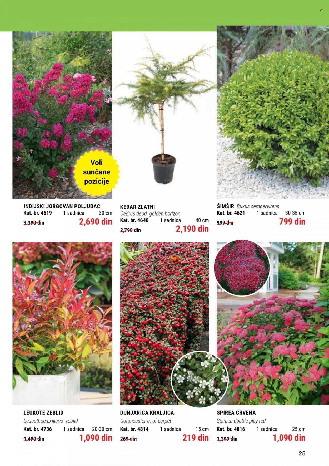Flora Ekspres katalog. Stranica 25