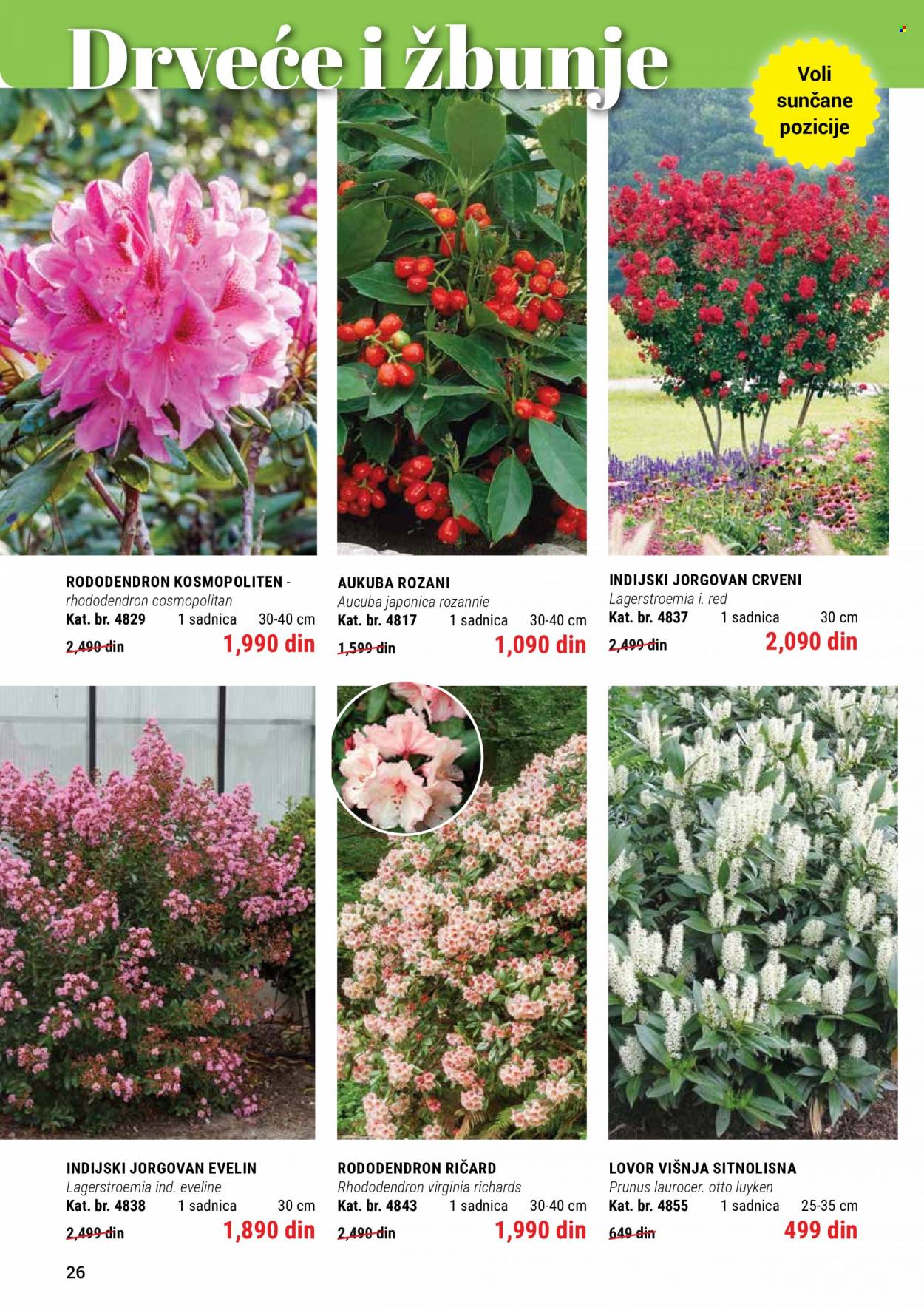 Flora Ekspres katalog. Stranica 26