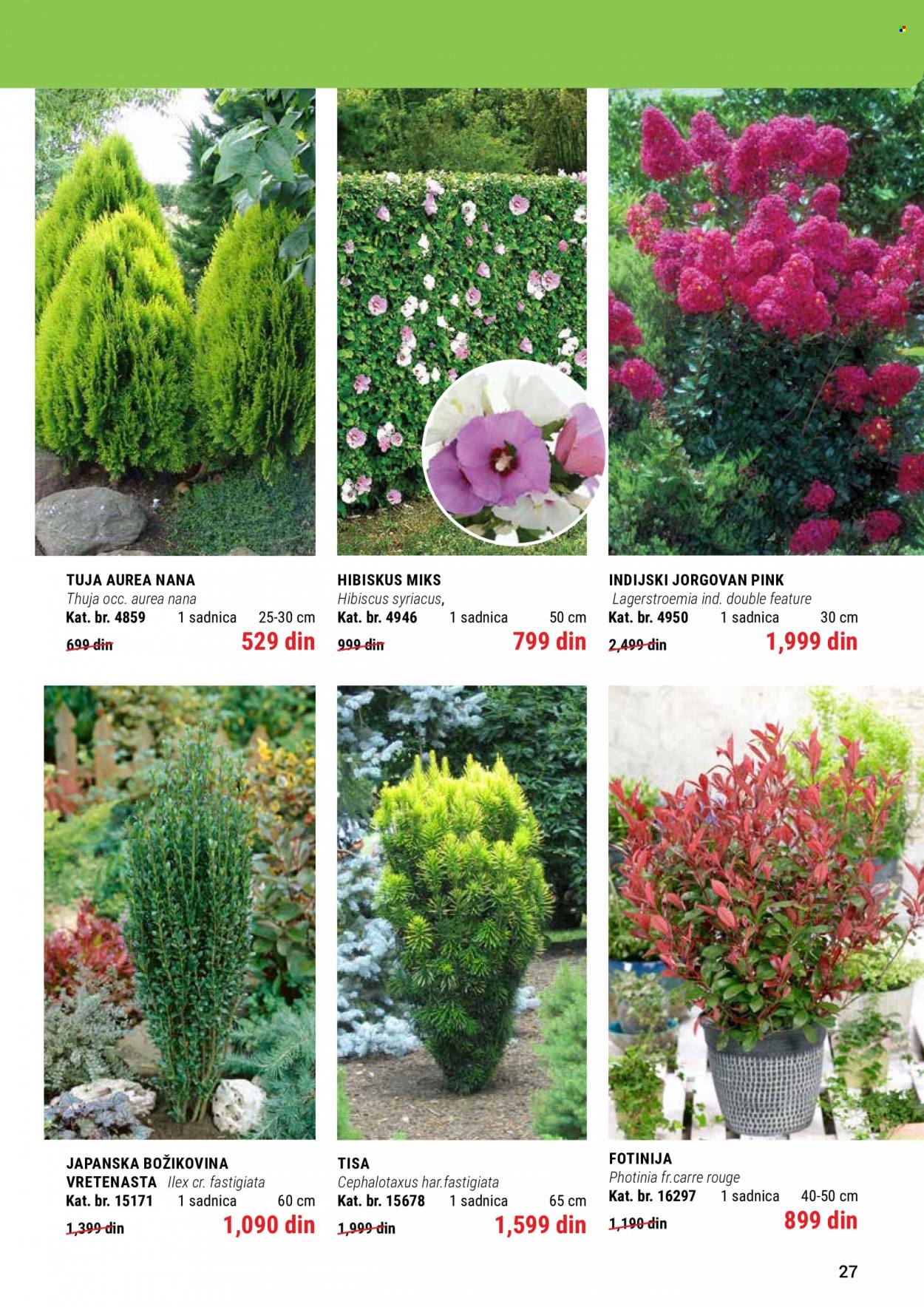 Flora Ekspres katalog. Stranica 27
