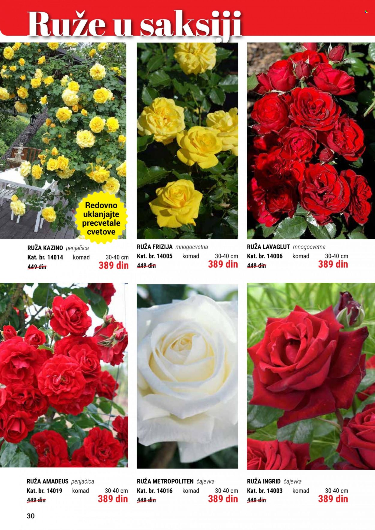 Flora Ekspres katalog. Stranica 30