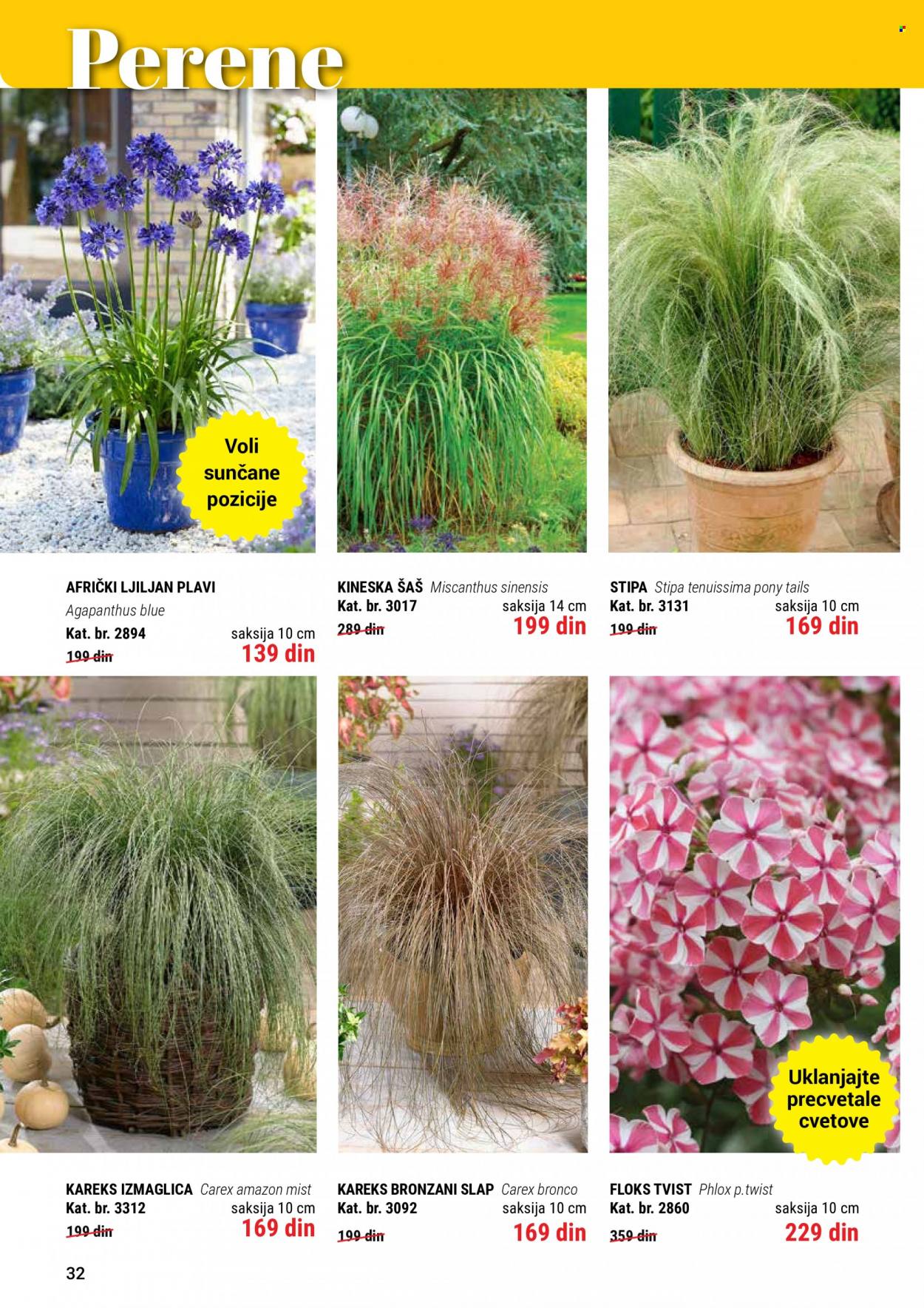Flora Ekspres katalog. Stranica 32