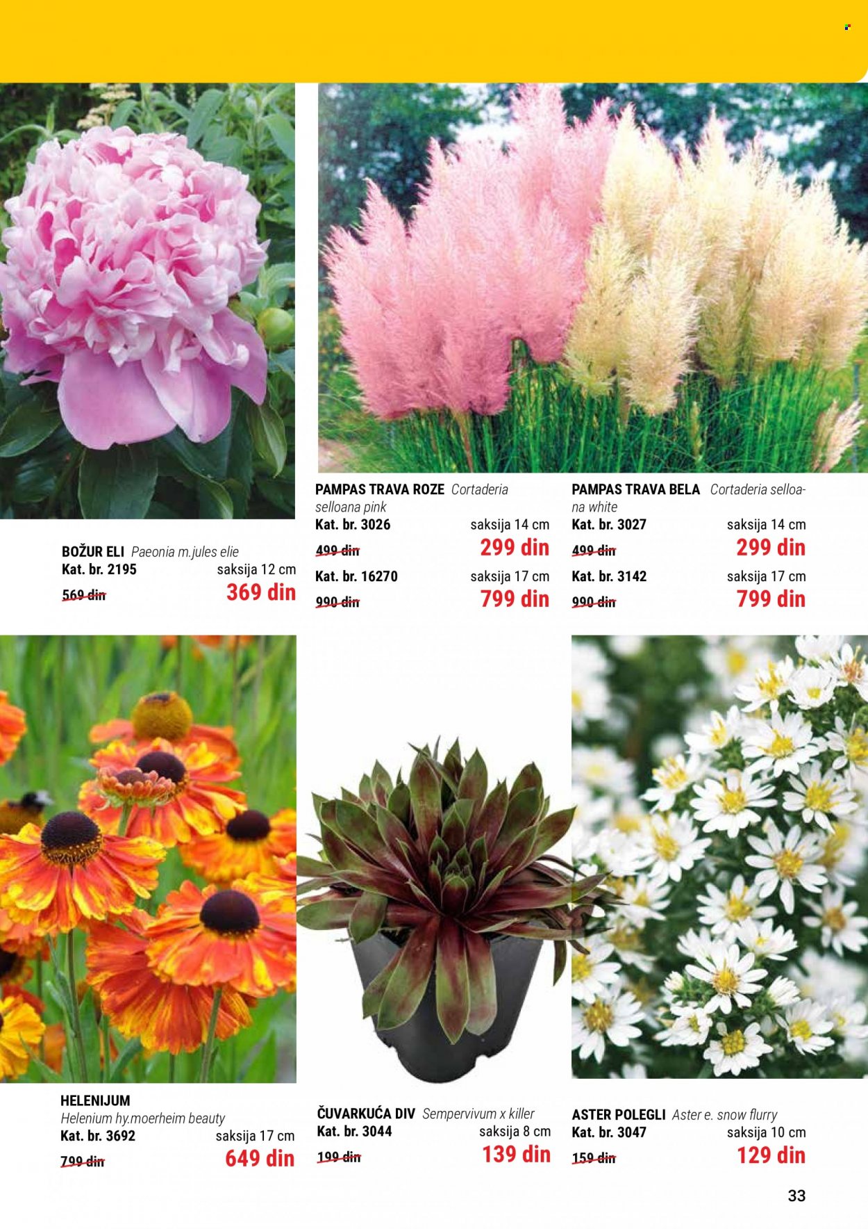 Flora Ekspres katalog. Stranica 33