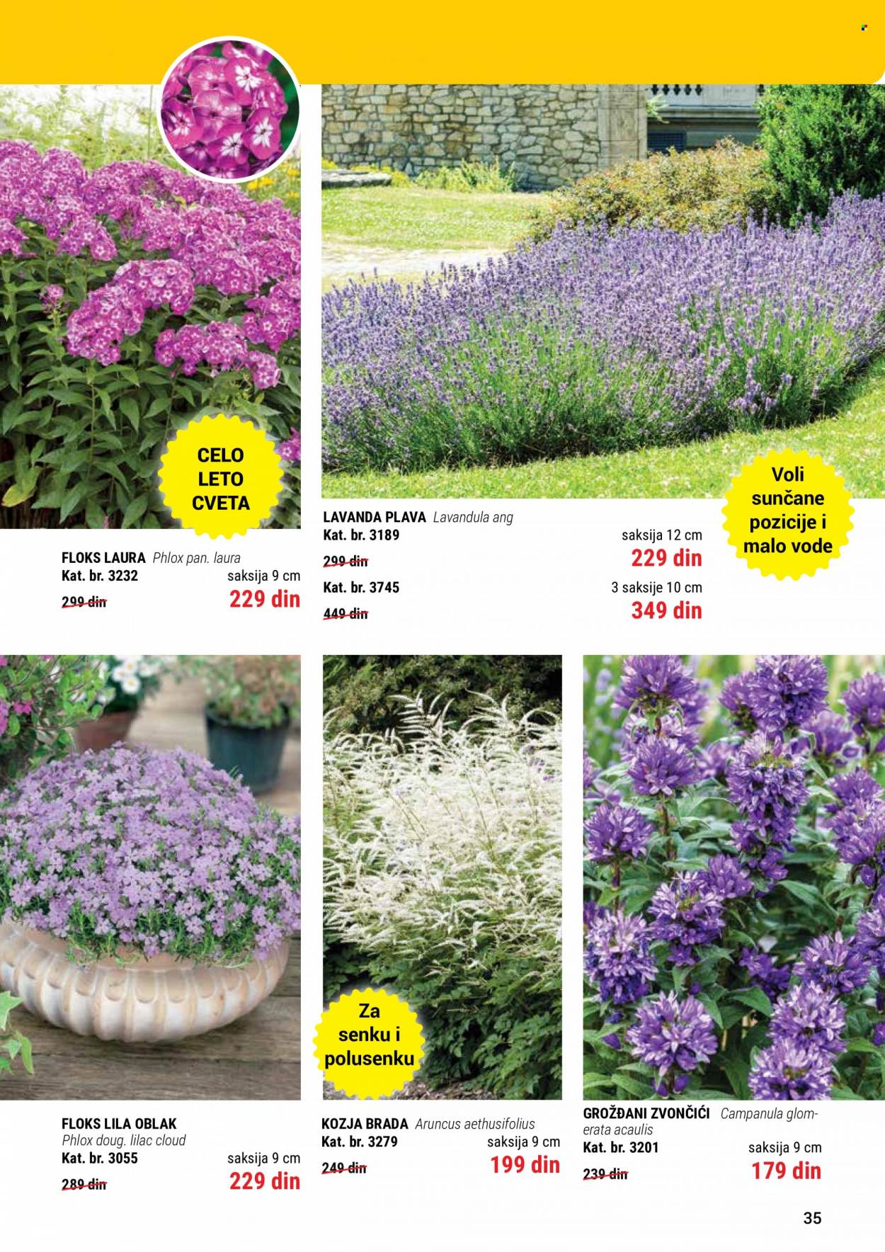 Flora Ekspres katalog. Stranica 35