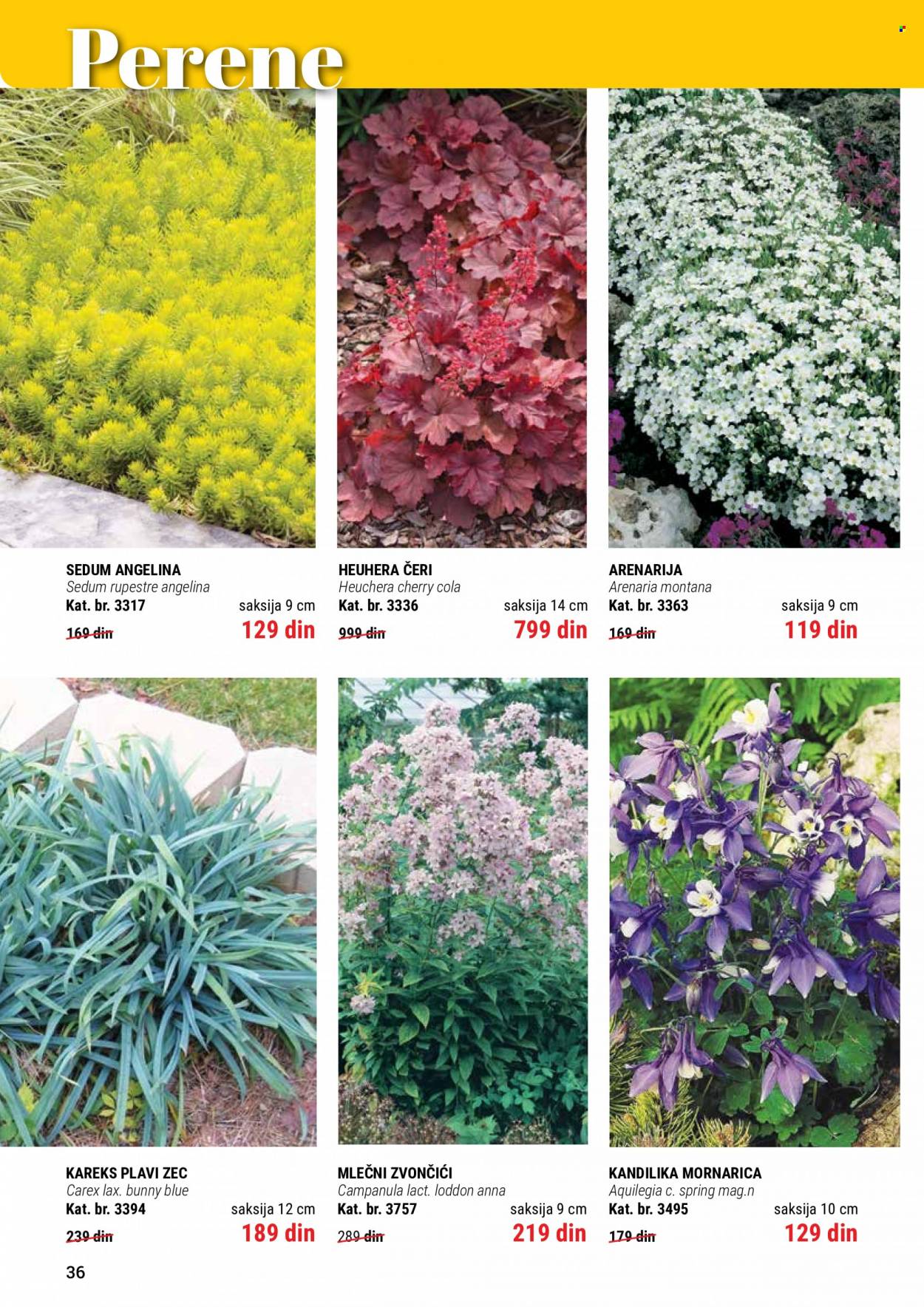 Flora Ekspres katalog. Stranica 36