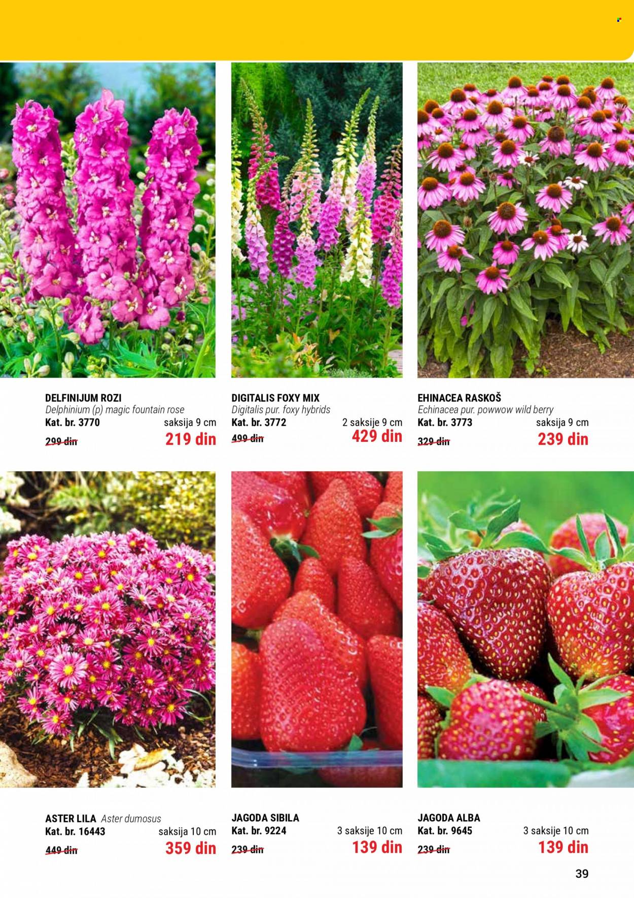 Flora Ekspres katalog. Stranica 39