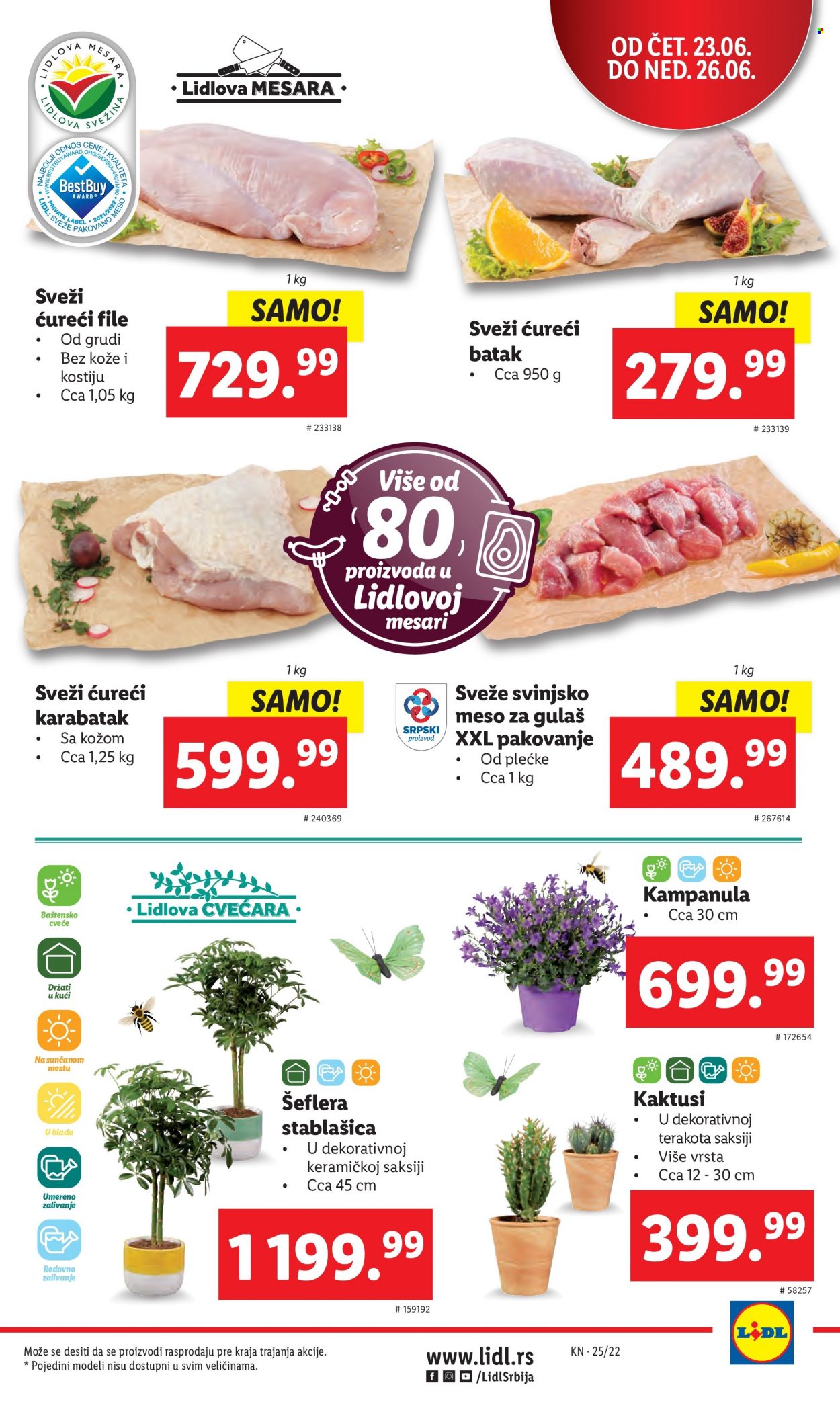 Lidl katalog - 23.06.2022 - 29.06.2022. Stranica 5