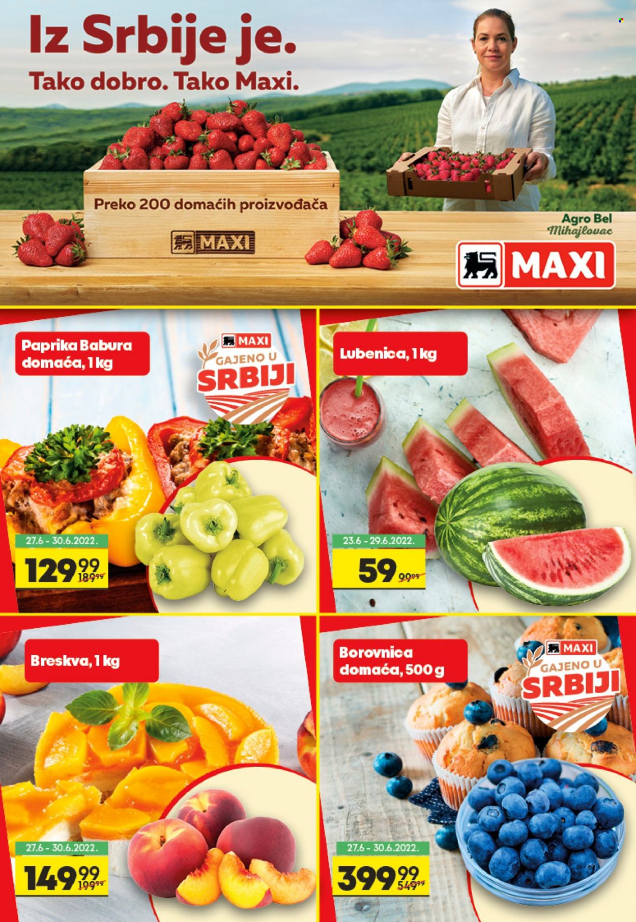 Mega Maxi katalog - 23.06.2022 - 29.06.2022. Stranica 4