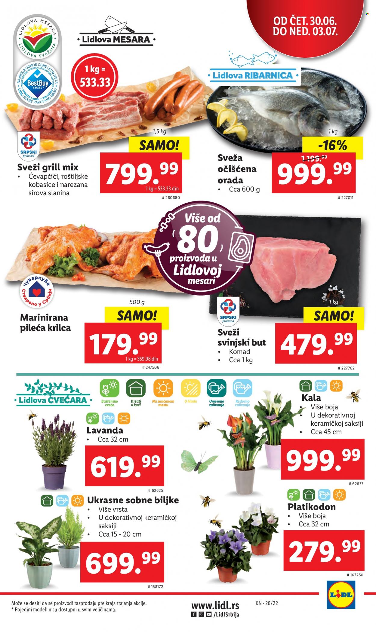 Lidl katalog - 30.06.2022 - 06.07.2022. Stranica 5