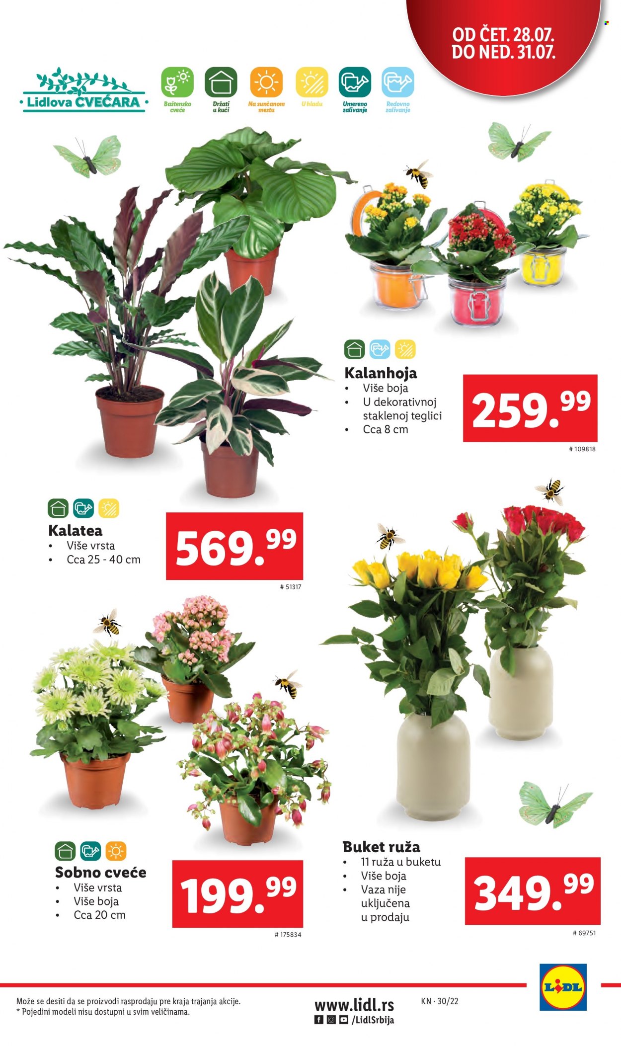 Lidl katalog - 28.07.2022 - 03.08.2022. Stranica 5