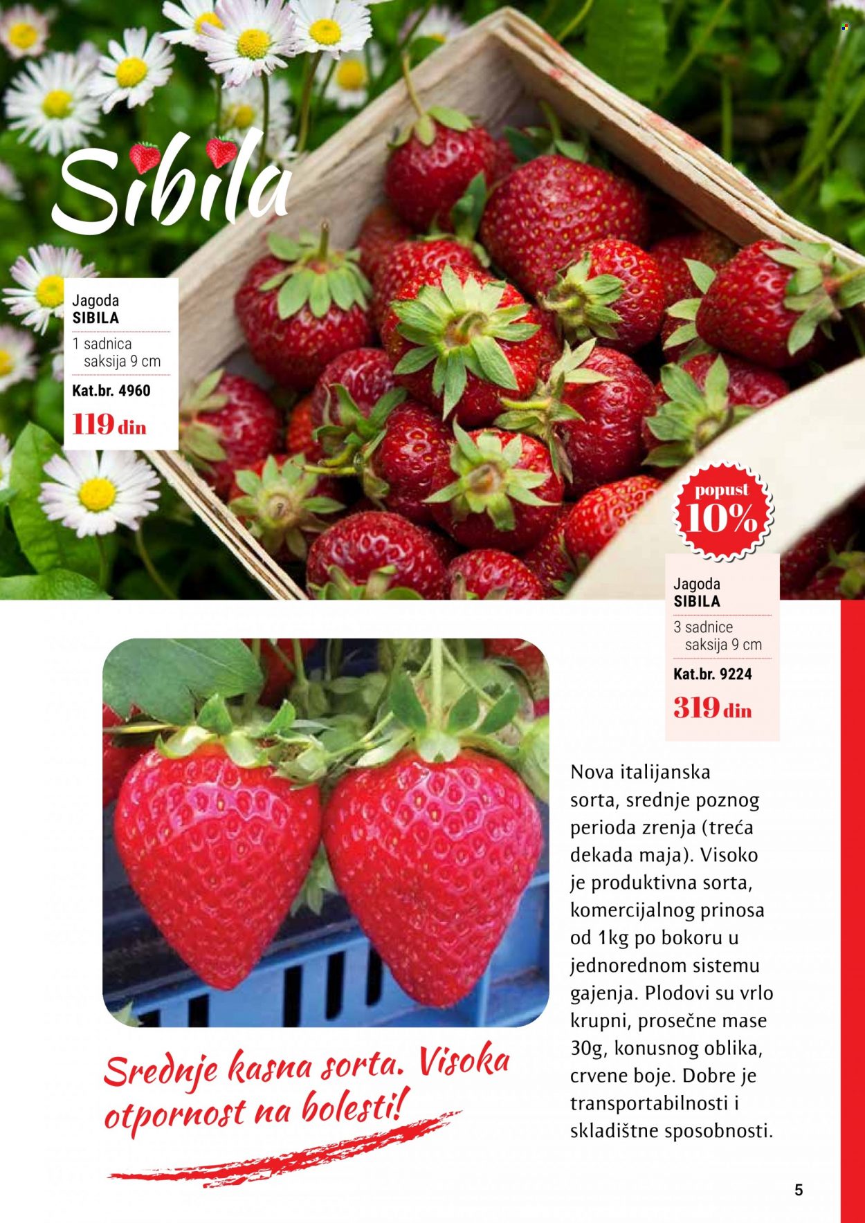 Flora Ekspres katalog. Stranica 5