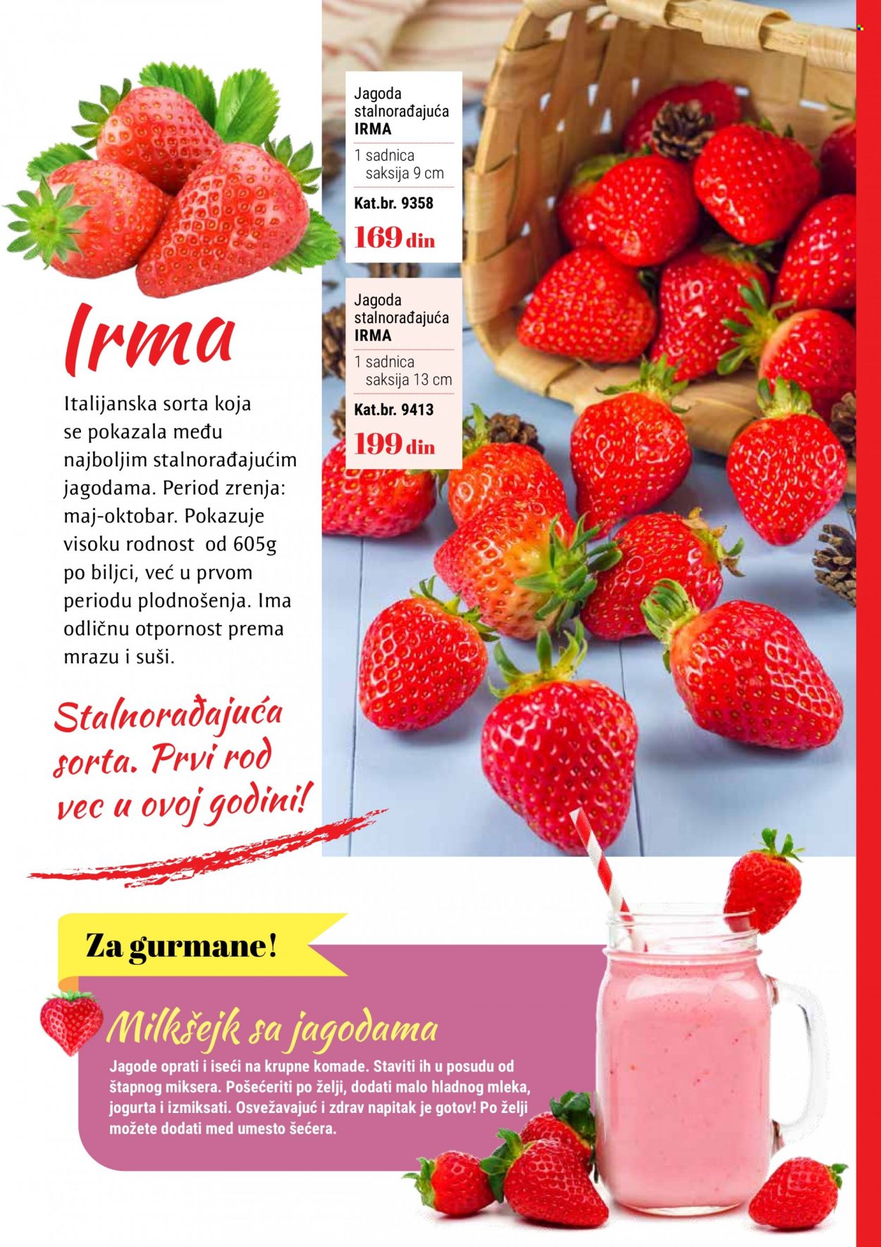 Flora Ekspres katalog. Stranica 7