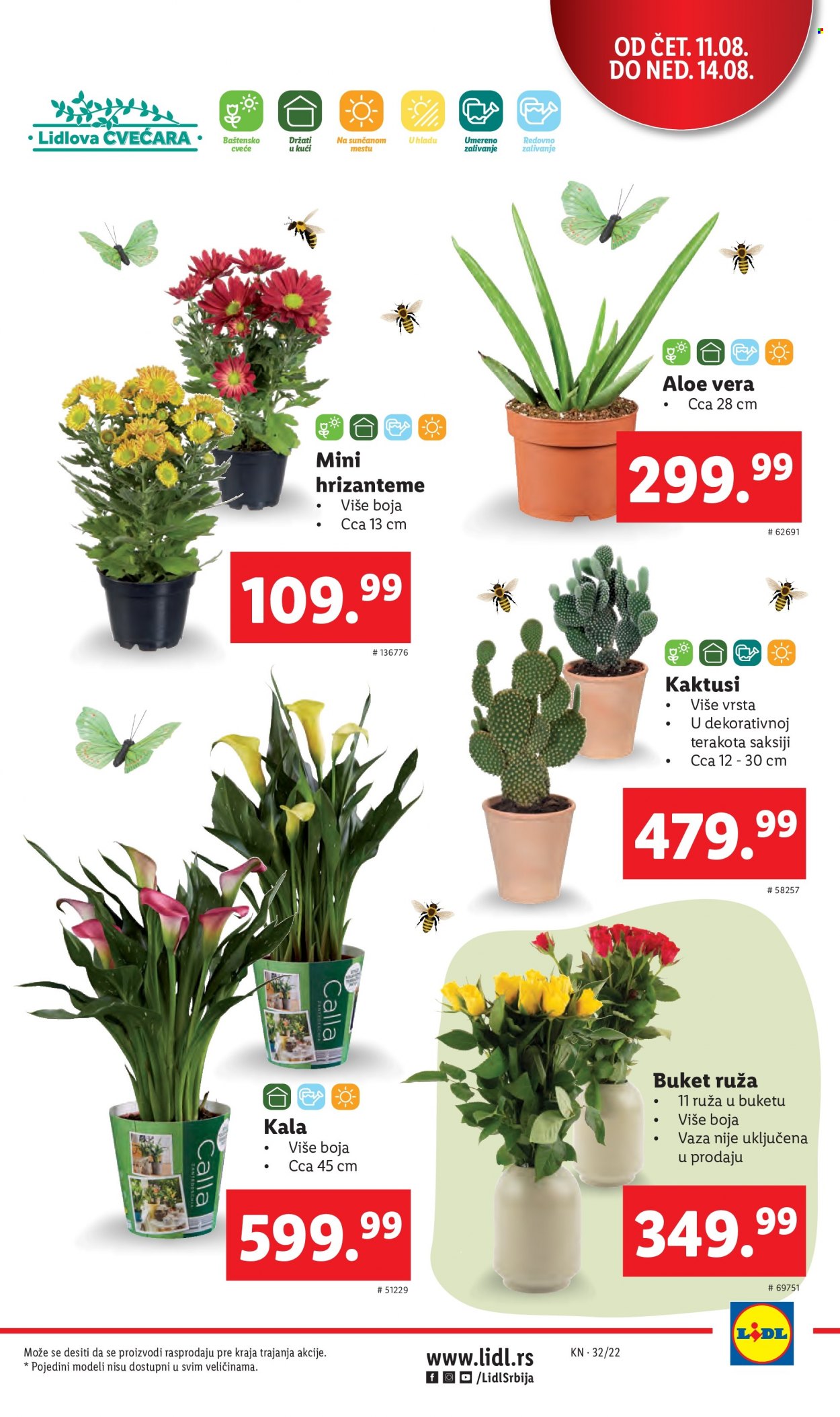 Lidl katalog - 11.08.2022 - 17.08.2022. Stranica 5