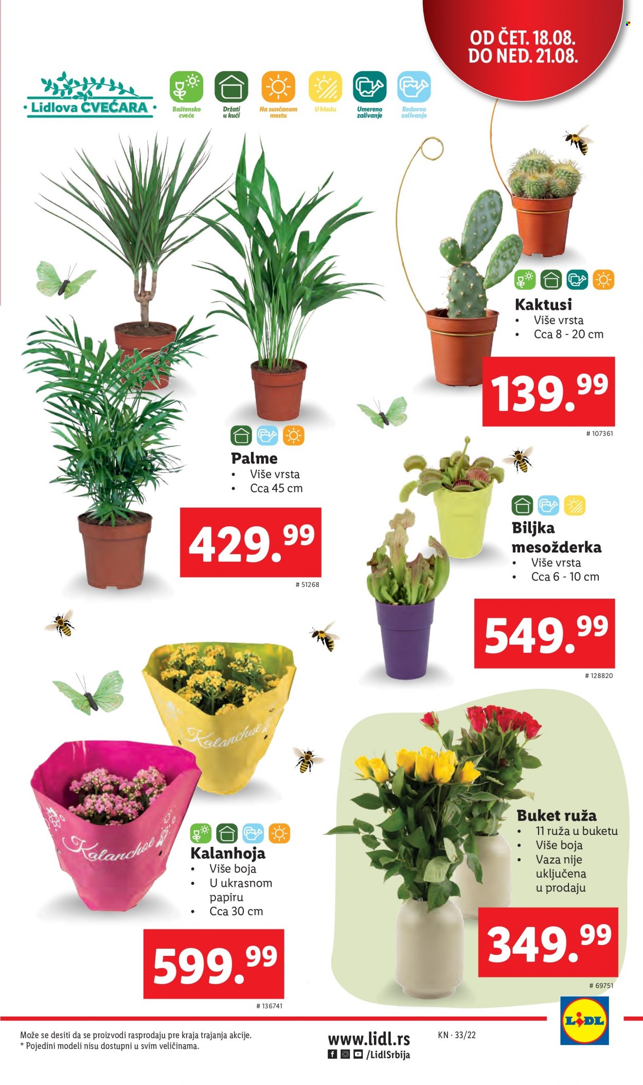 Lidl katalog - 18.08.2022 - 24.08.2022. Stranica 5