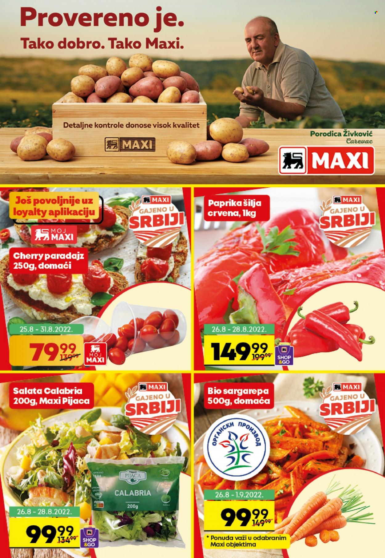 Maxi katalog - 25.08.2022 - 31.08.2022. Stranica 2