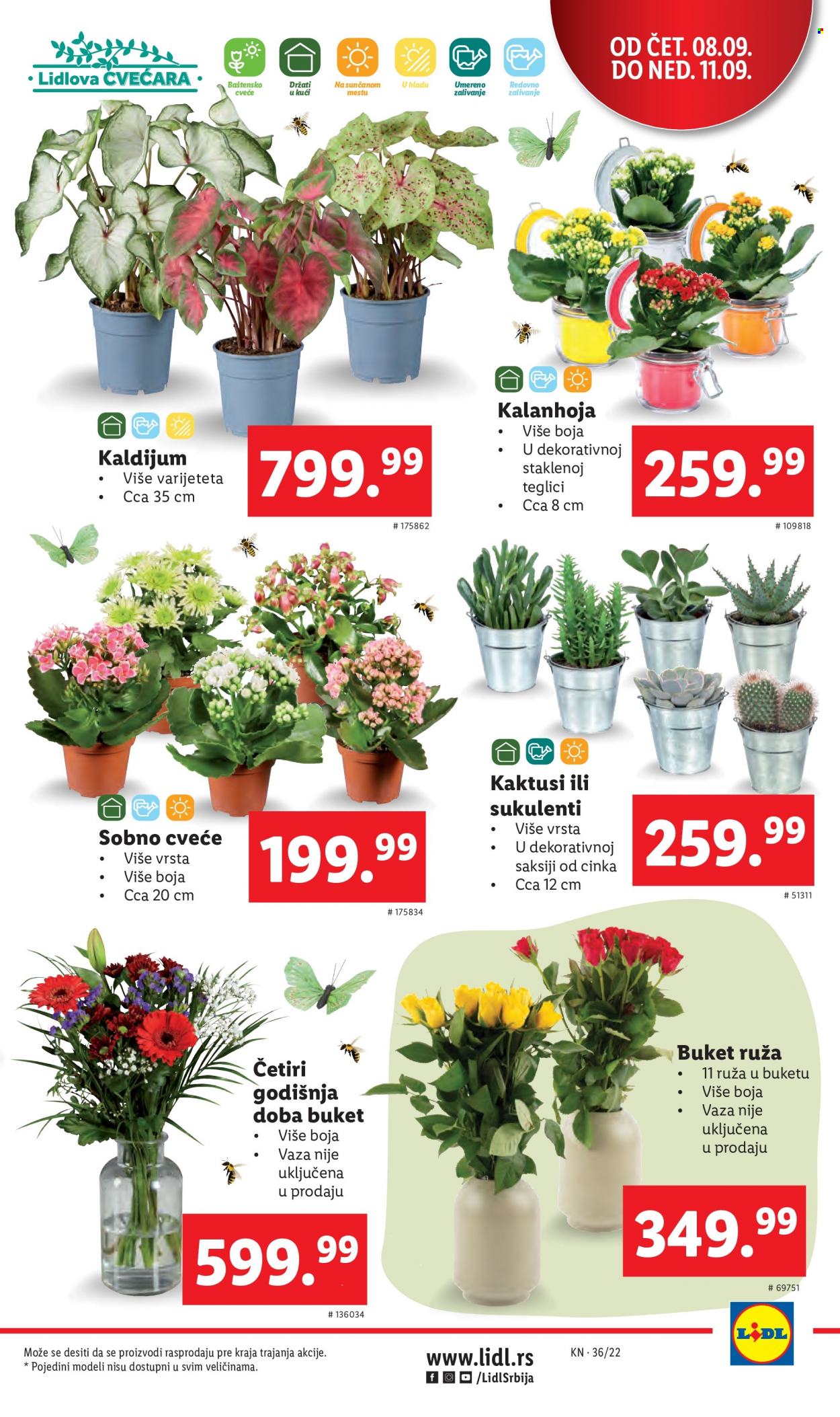 Lidl katalog - 08.09.2022 - 14.09.2022. Stranica 7
