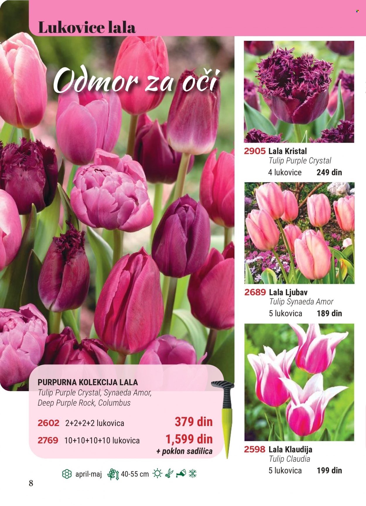 Flora Ekspres katalog. Stranica 8
