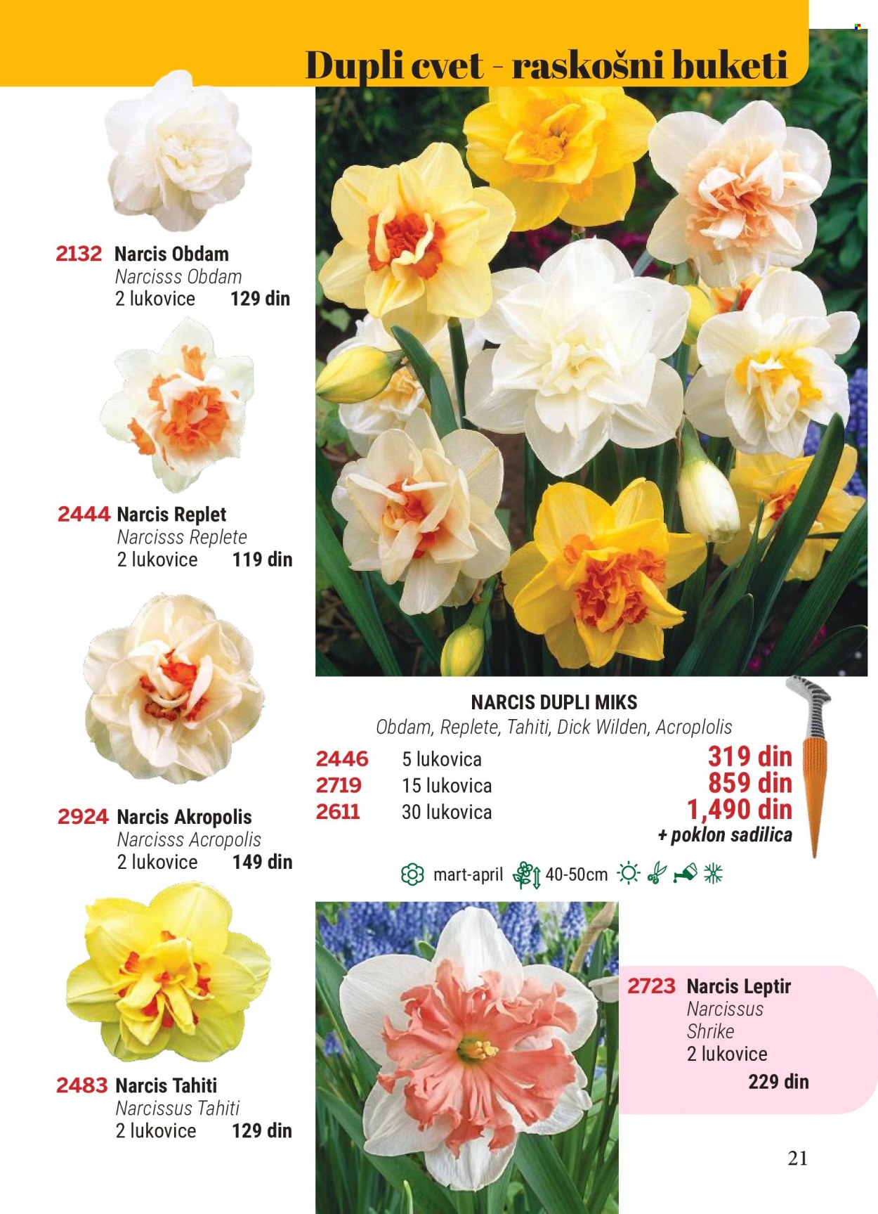 Flora Ekspres katalog. Stranica 21