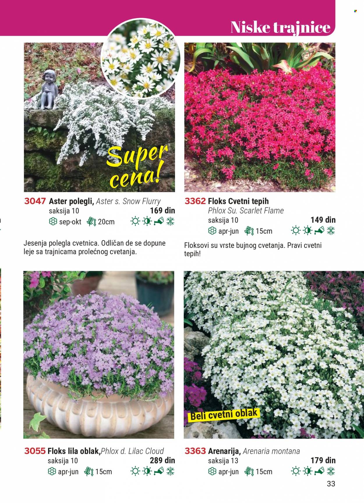 Flora Ekspres katalog. Stranica 33