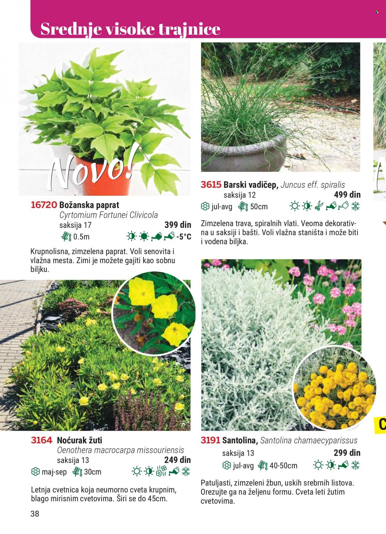 Flora Ekspres katalog. Stranica 38