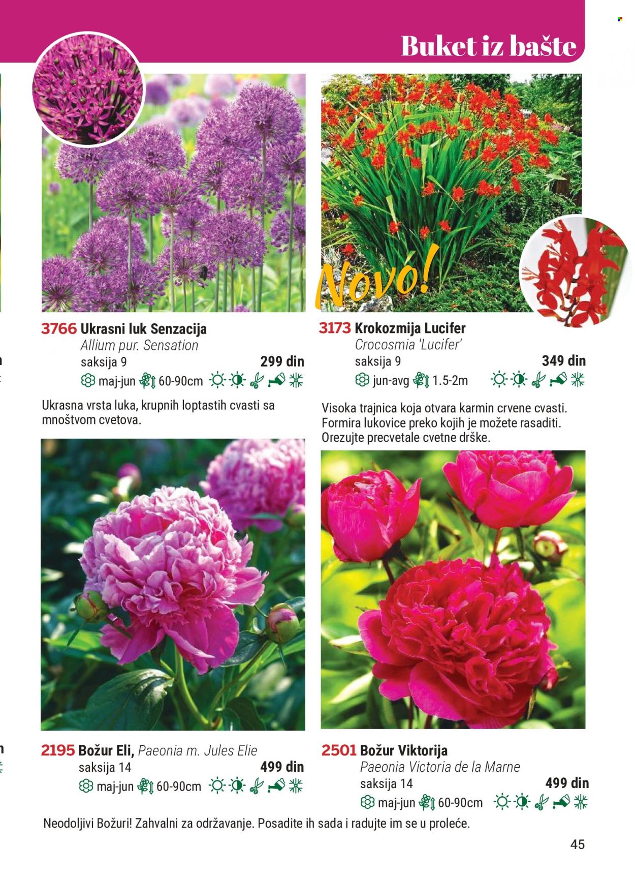 Flora Ekspres katalog. Stranica 45