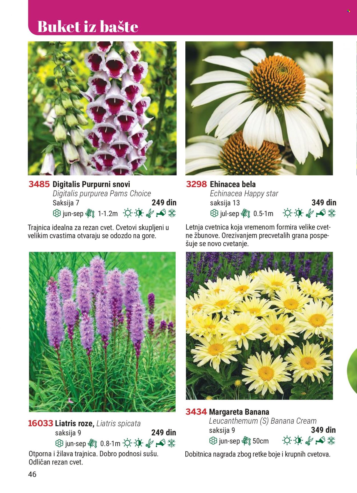 Flora Ekspres katalog. Stranica 46