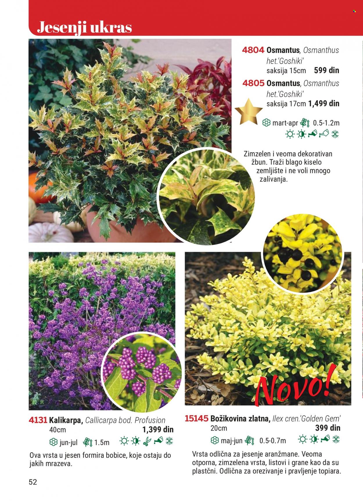 Flora Ekspres katalog. Stranica 52