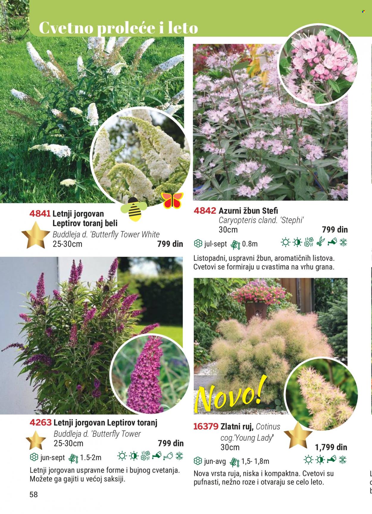 Flora Ekspres katalog. Stranica 58