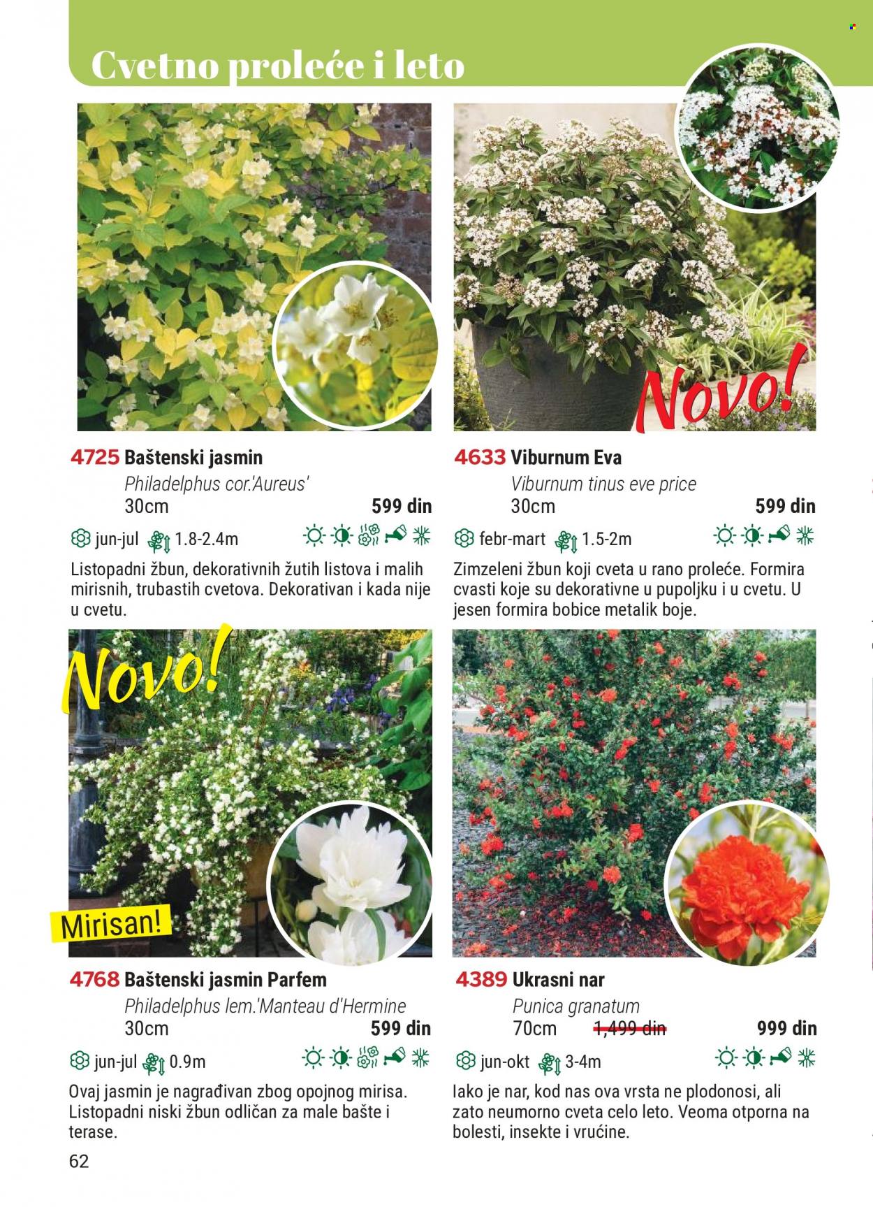 Flora Ekspres katalog. Stranica 62