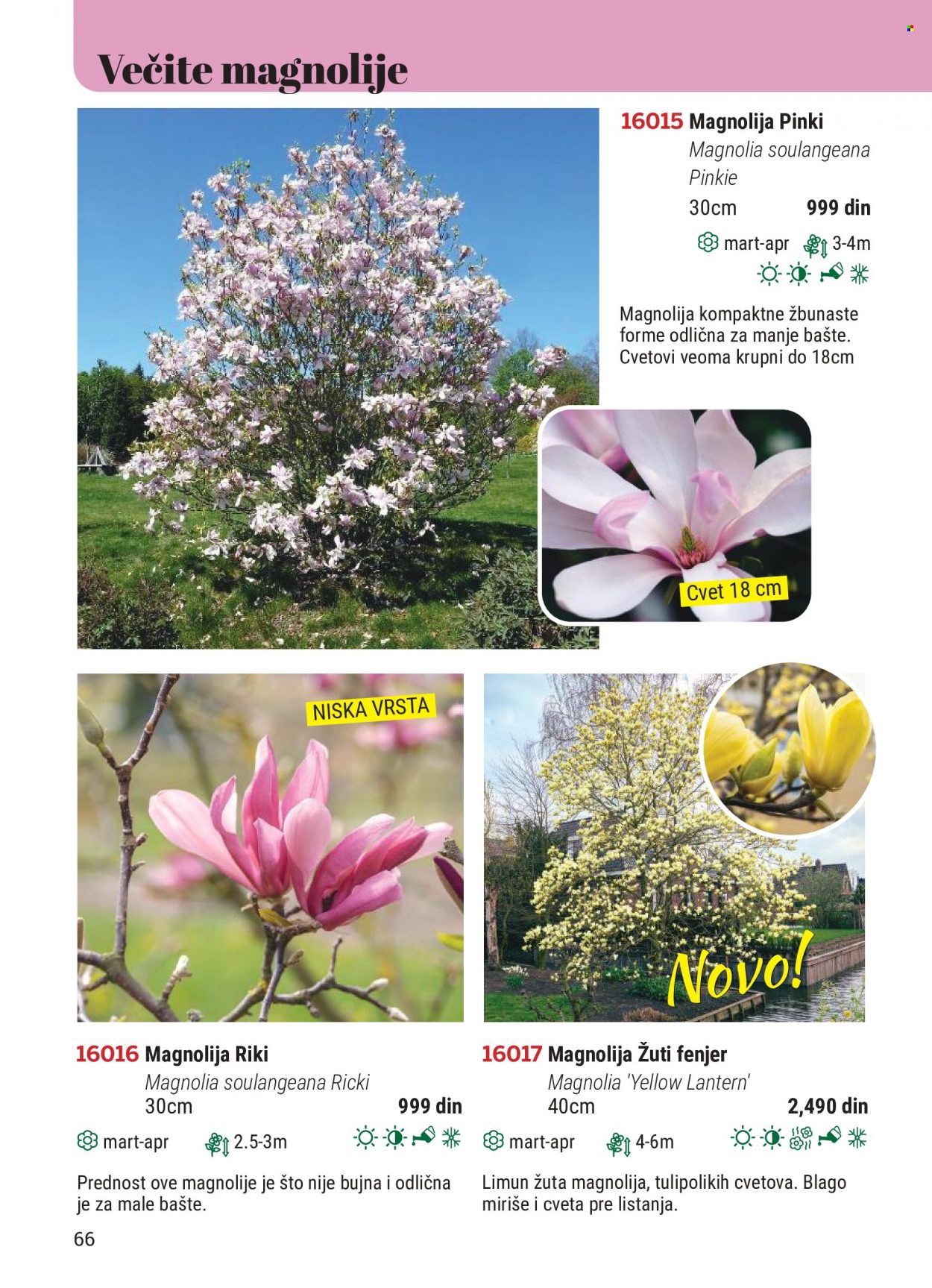 Flora Ekspres katalog. Stranica 66